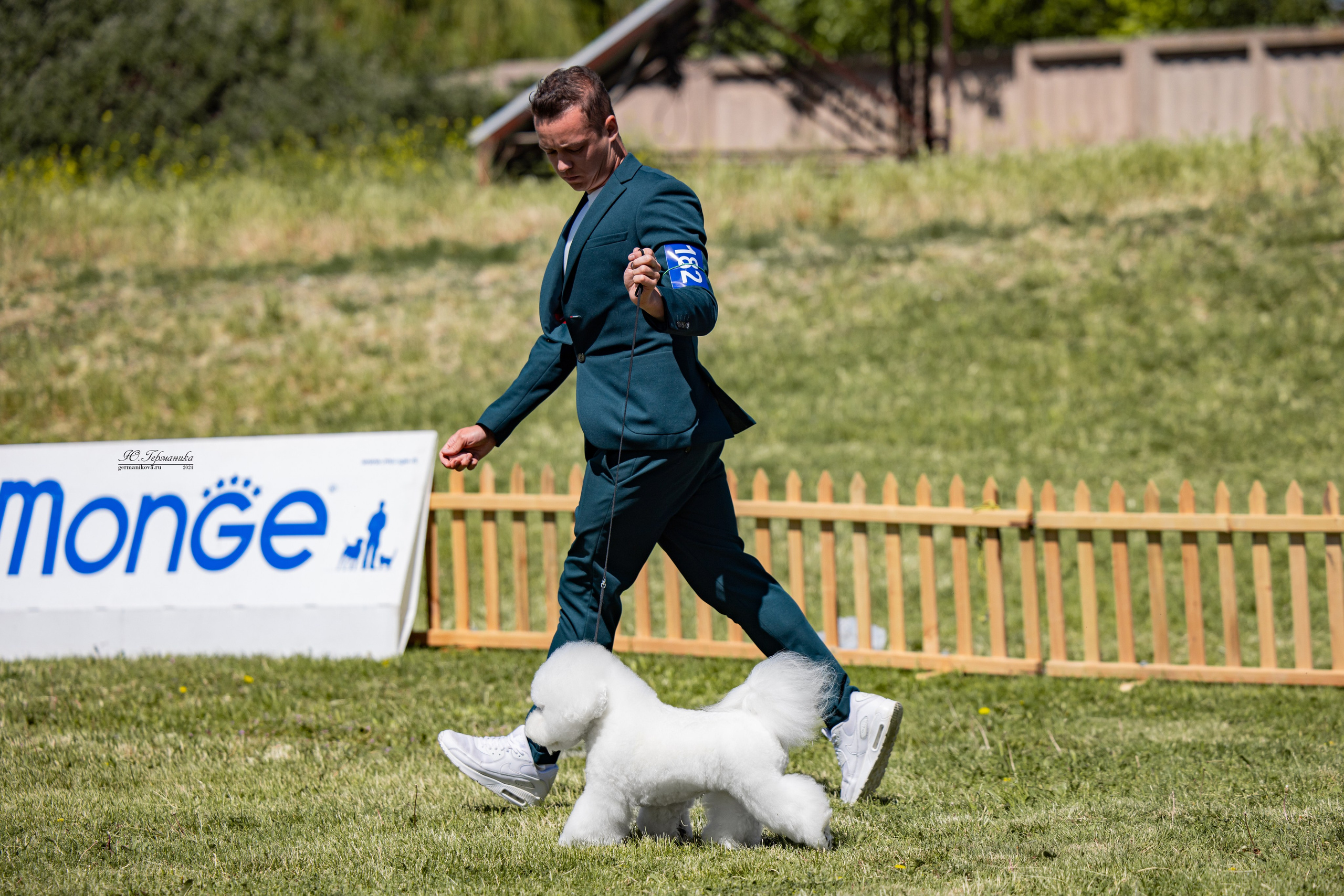 Ереван 3-5.06.2024. Фотограф-анималист Юлия Германика