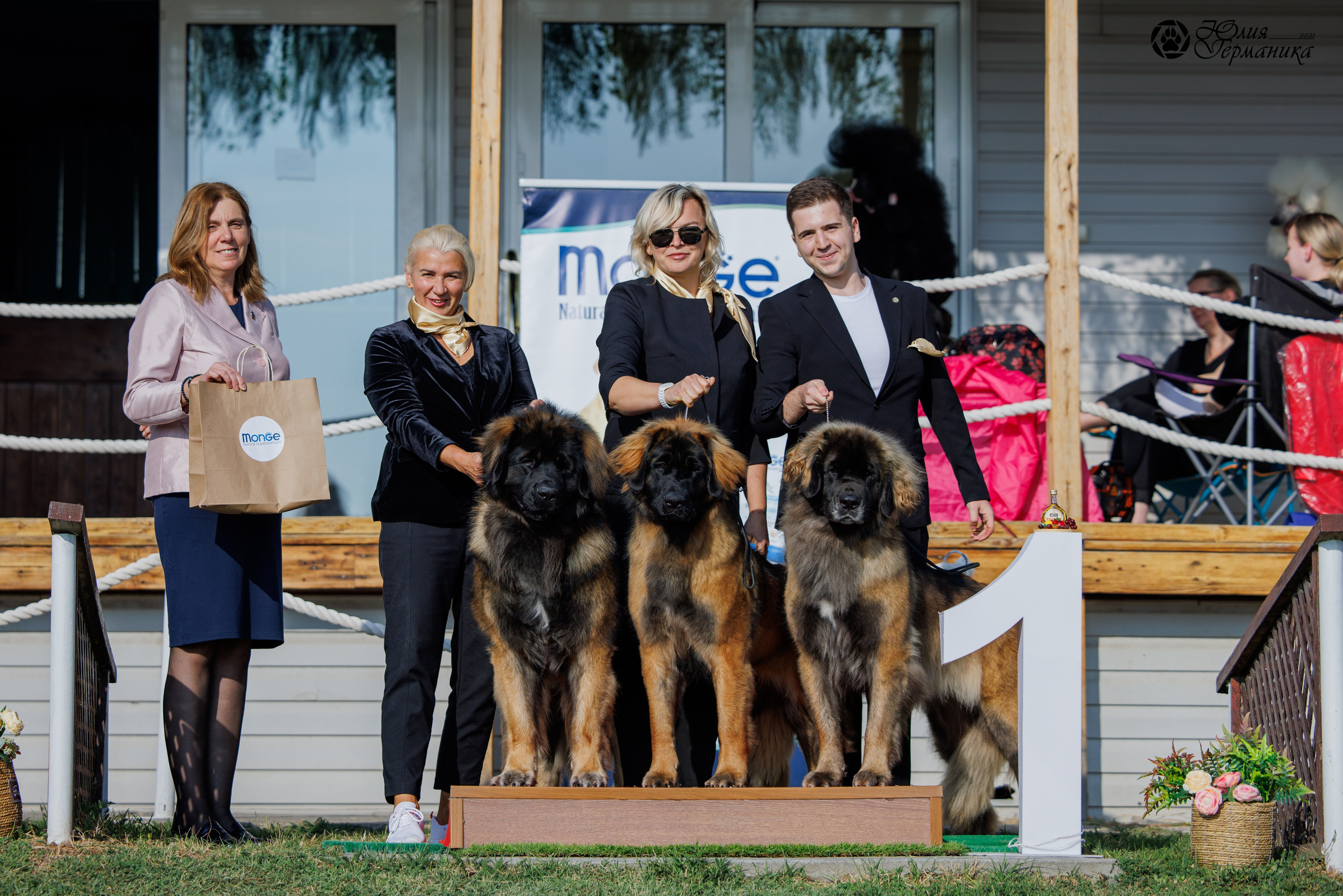 Армения,Ереван 3хCACIB 15-17.10.2024. Фотограф-анималист Юлия Германика