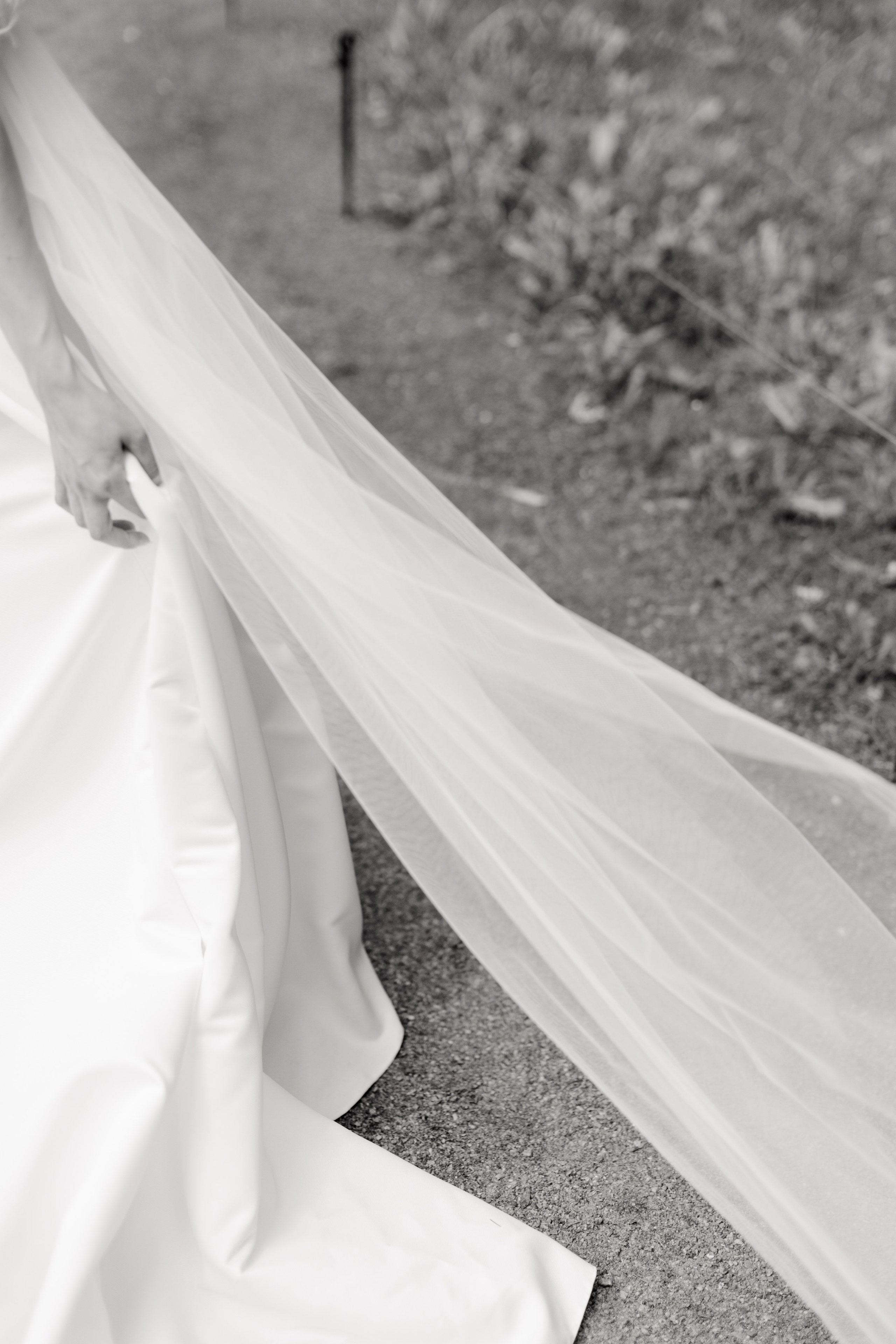 Петр и Ксения. @dariazphoto свадебный фотограф