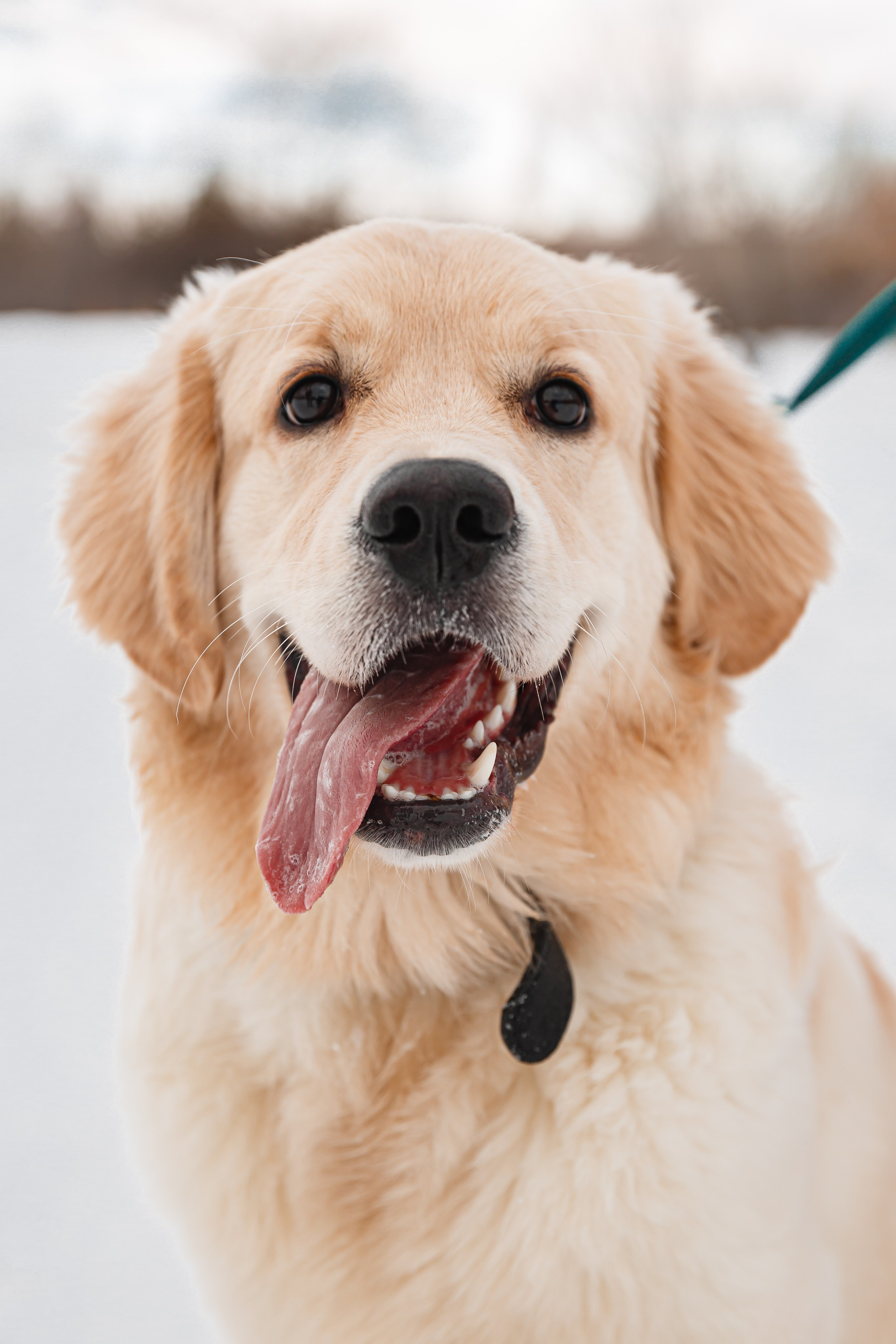Лёша и Настя. Крылова Светлана Фотограф Челябинск