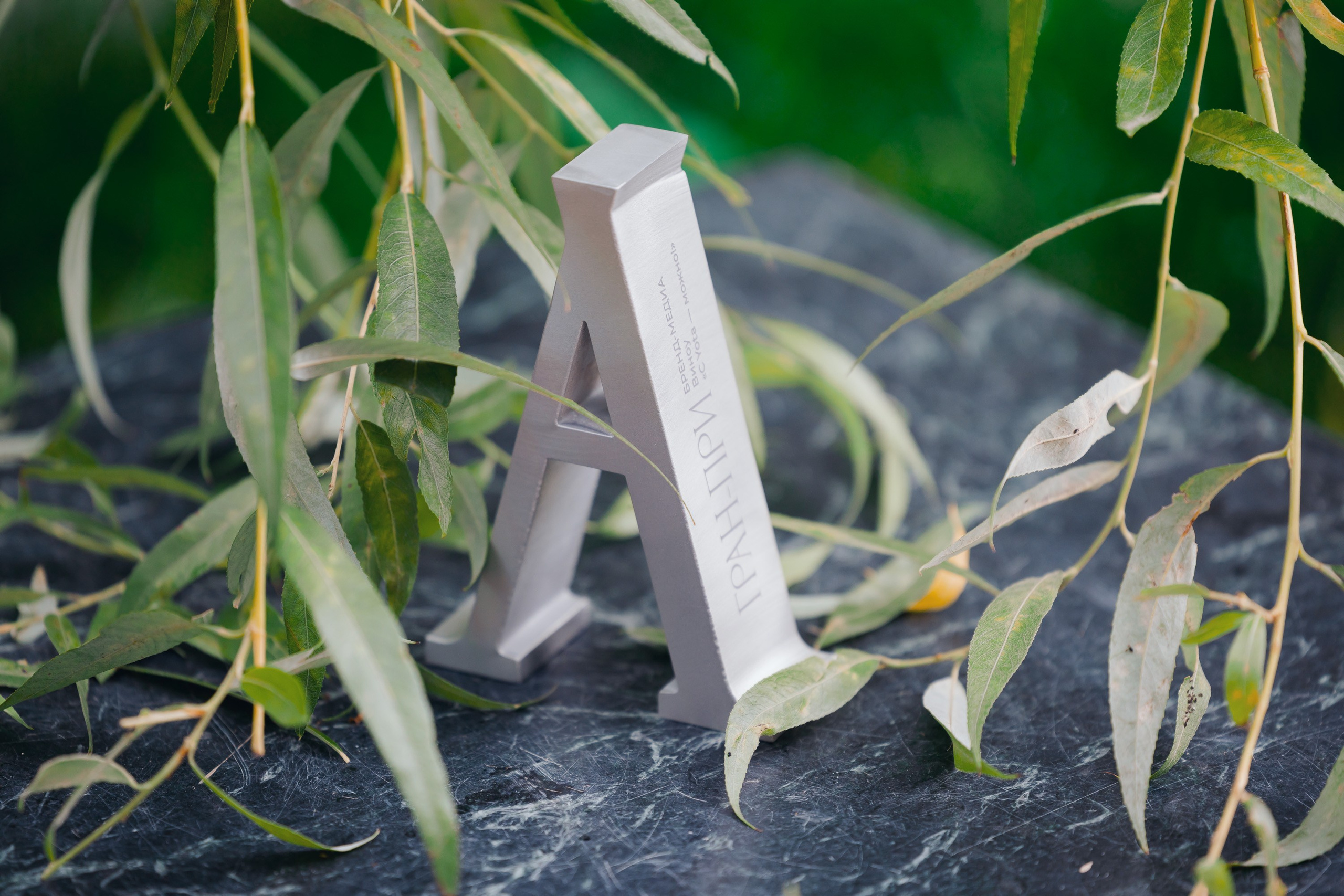 CAD. Parezhevphoto.ru