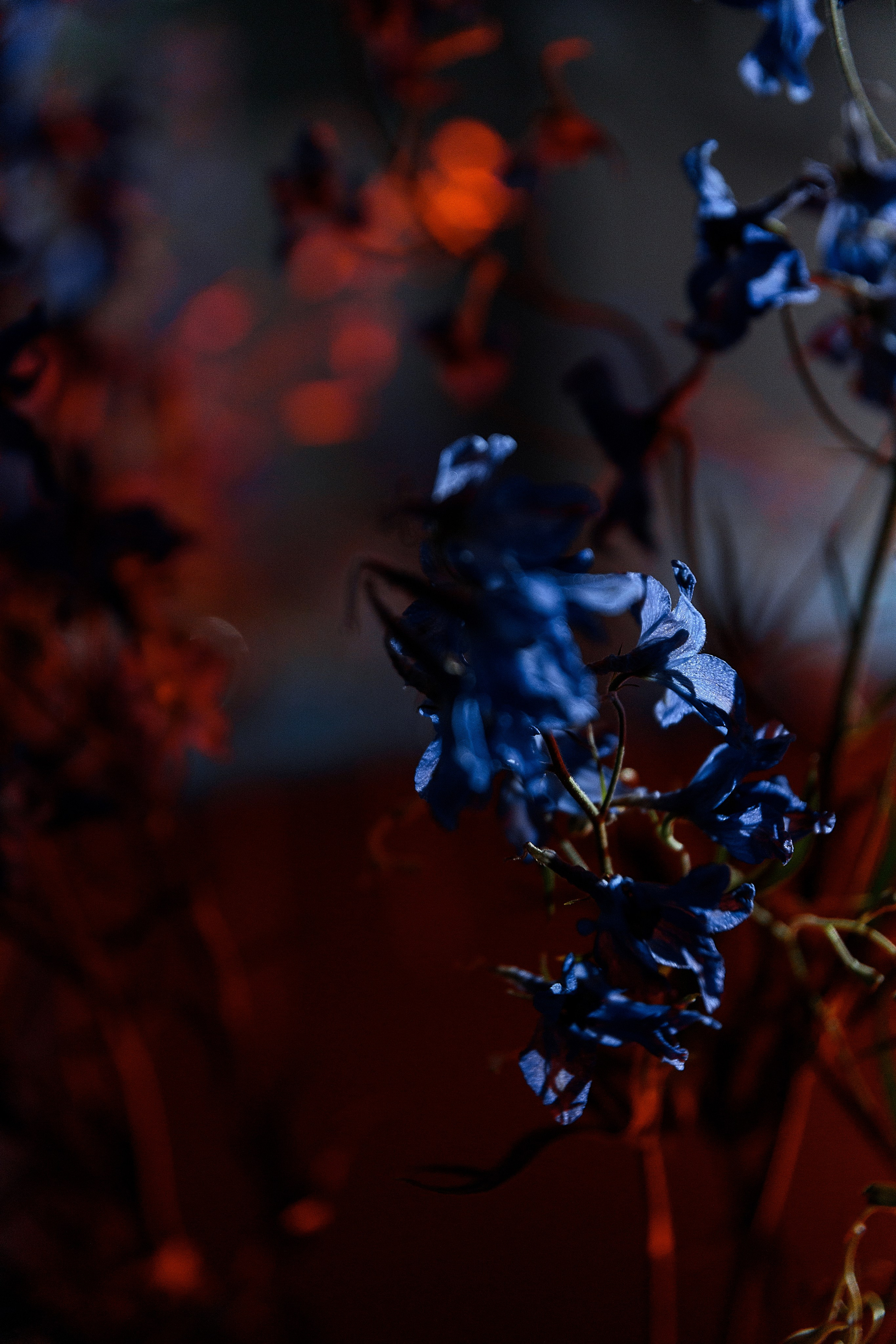 Дима и Диана. Свадебный и семейный фотограф Алимова Леся