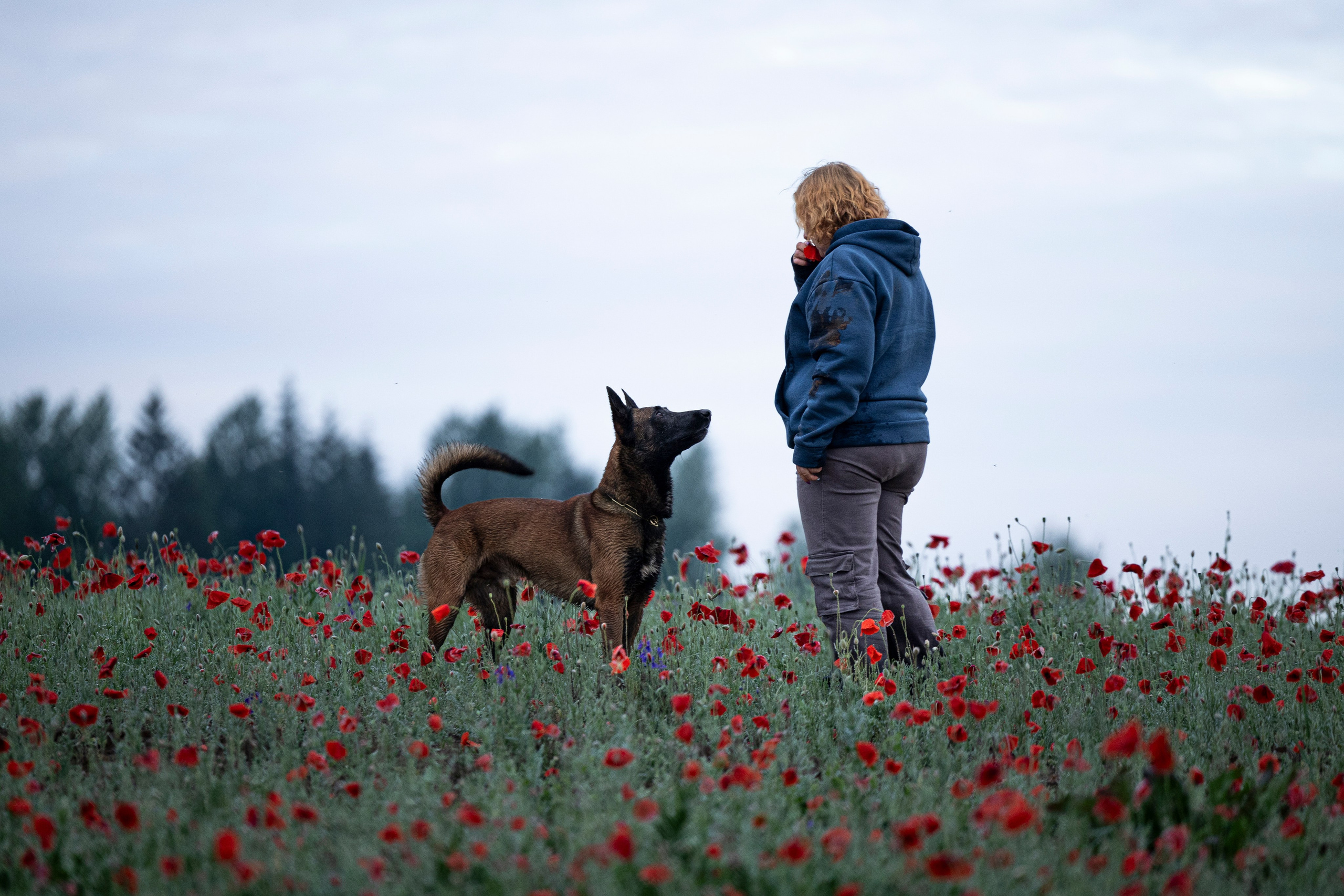 Маковое поле. Фотограф-анималист Анна Маринич