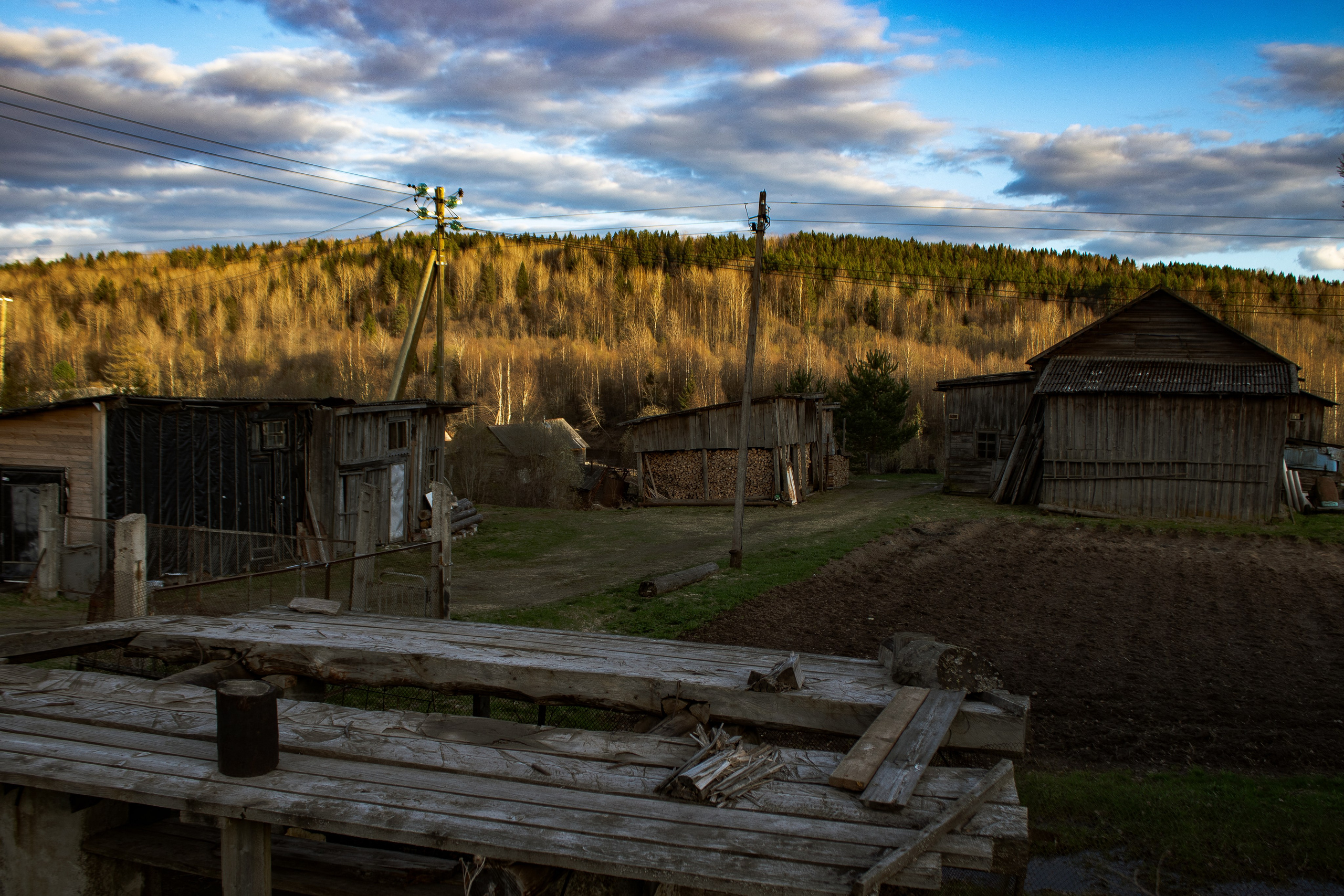 Вепсский ковчег. Полина Щапова БМК235 Медиаком — НИУ ВШЭ