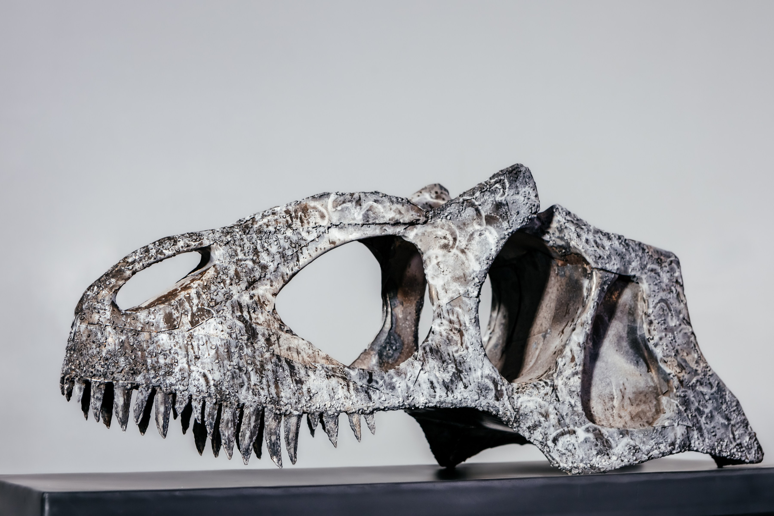 Скульптуры. Михаил Серёдкин. Фотограф в Красноярске Оксана Корчагина