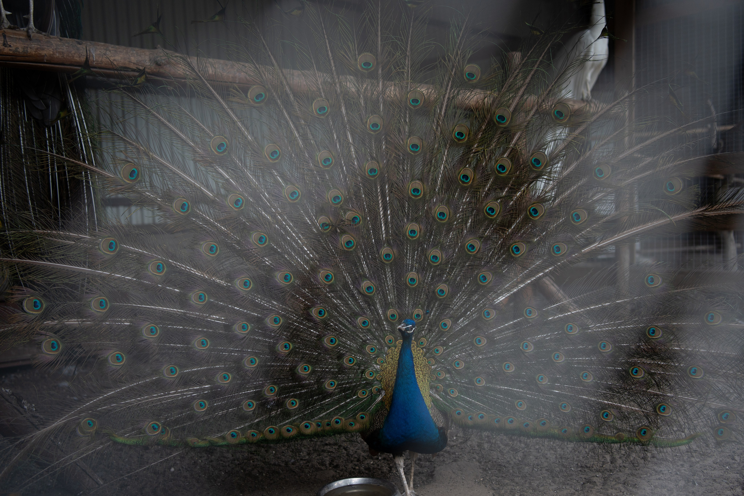 Дети. Фотограф в Ростове-на-Дону Елизаваета Маковей