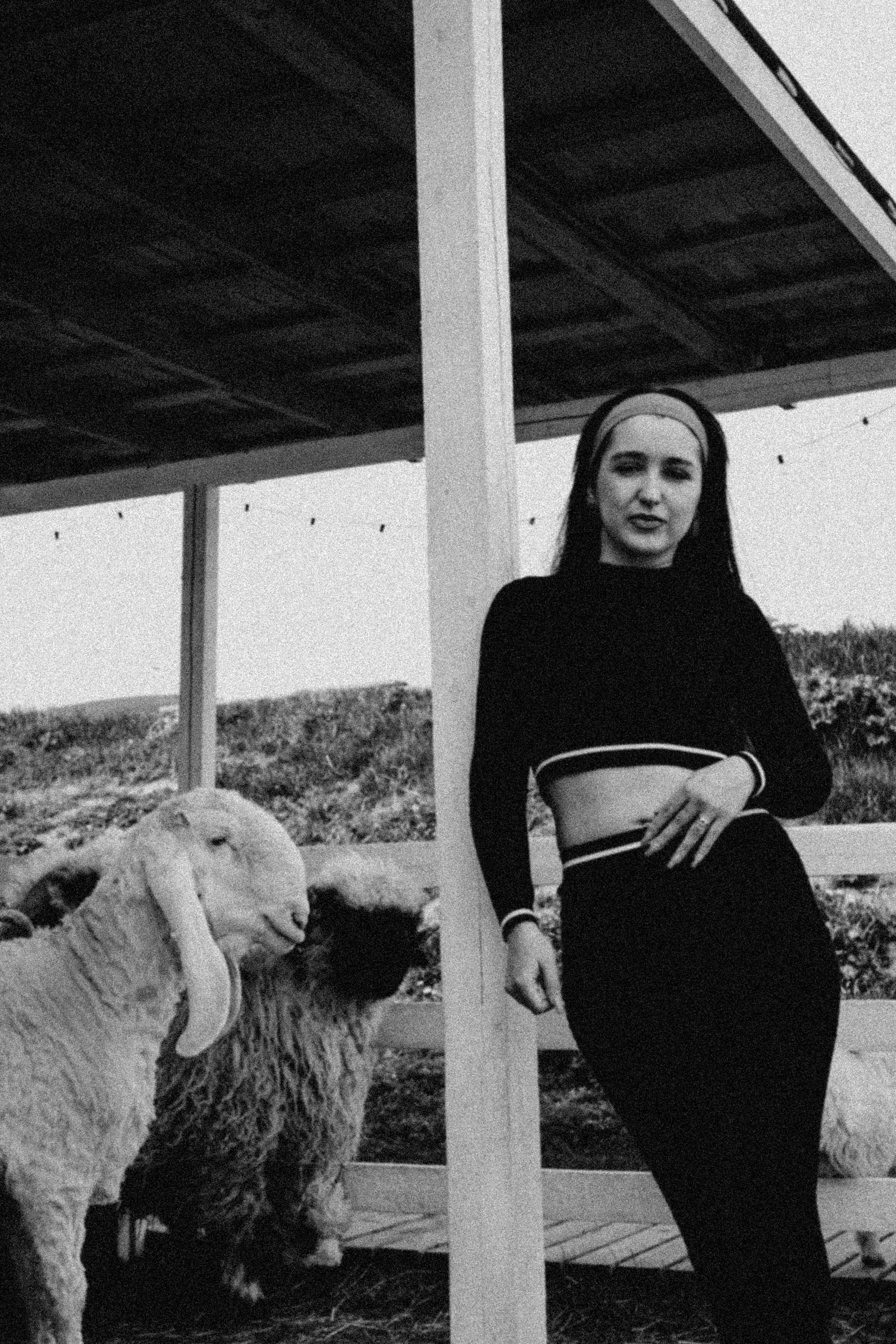 Ферма Альпак. Профессиональный фотограф, Санкт-Петербург — Виктория Богомолова