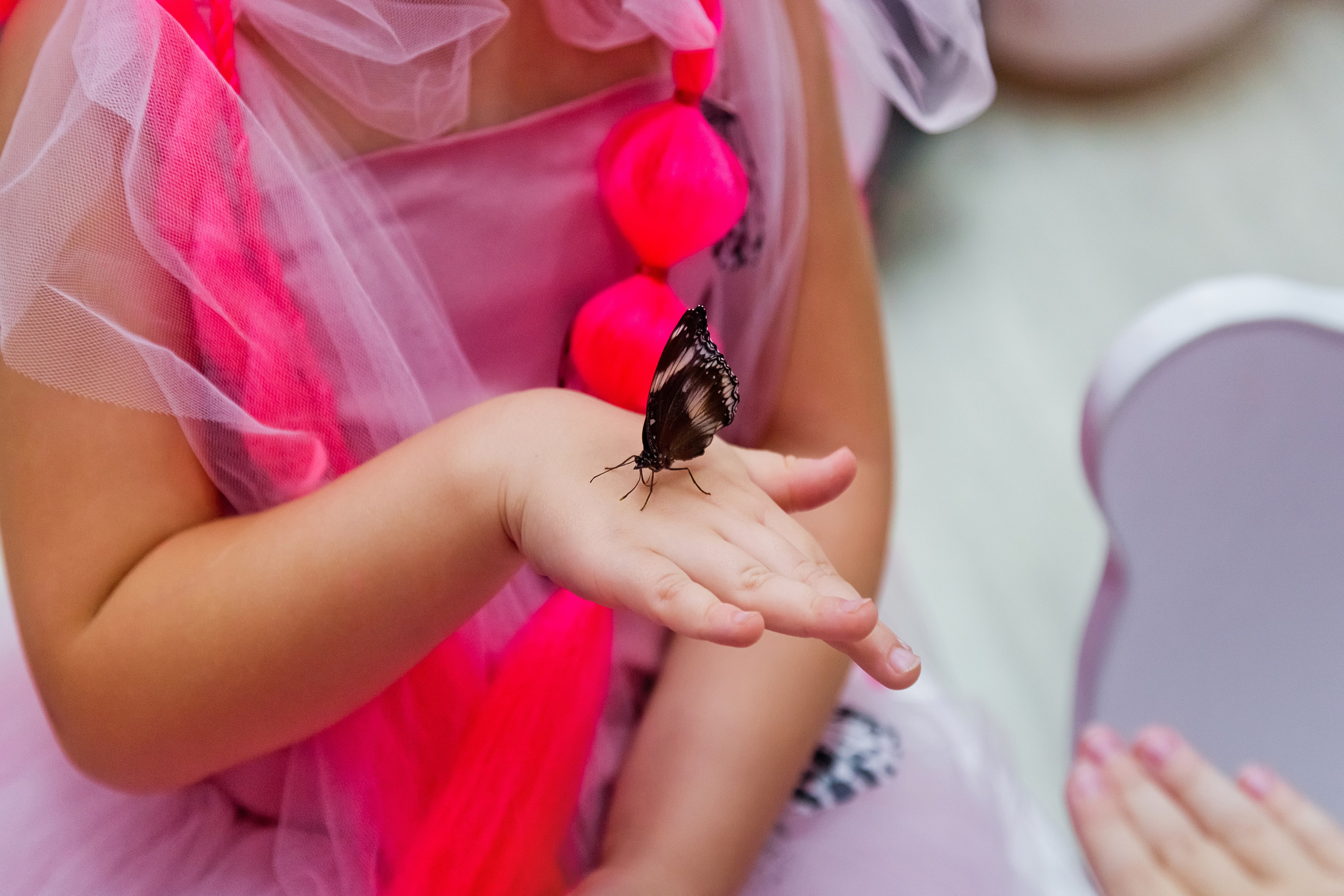 . Фотограф в Москве и Одинцово