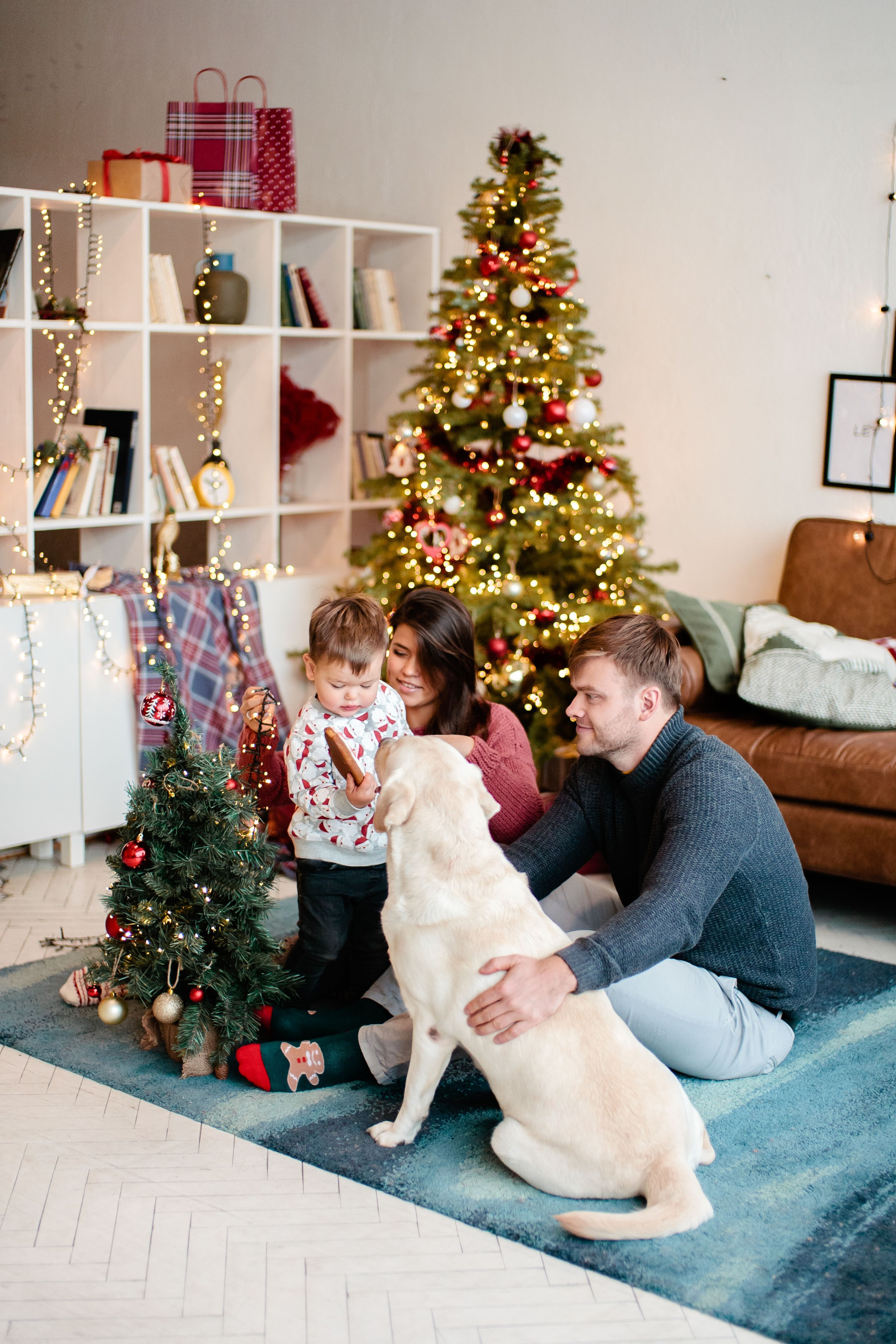 Семейная Новогодняя фотосессия в студии, фотограф в Москве