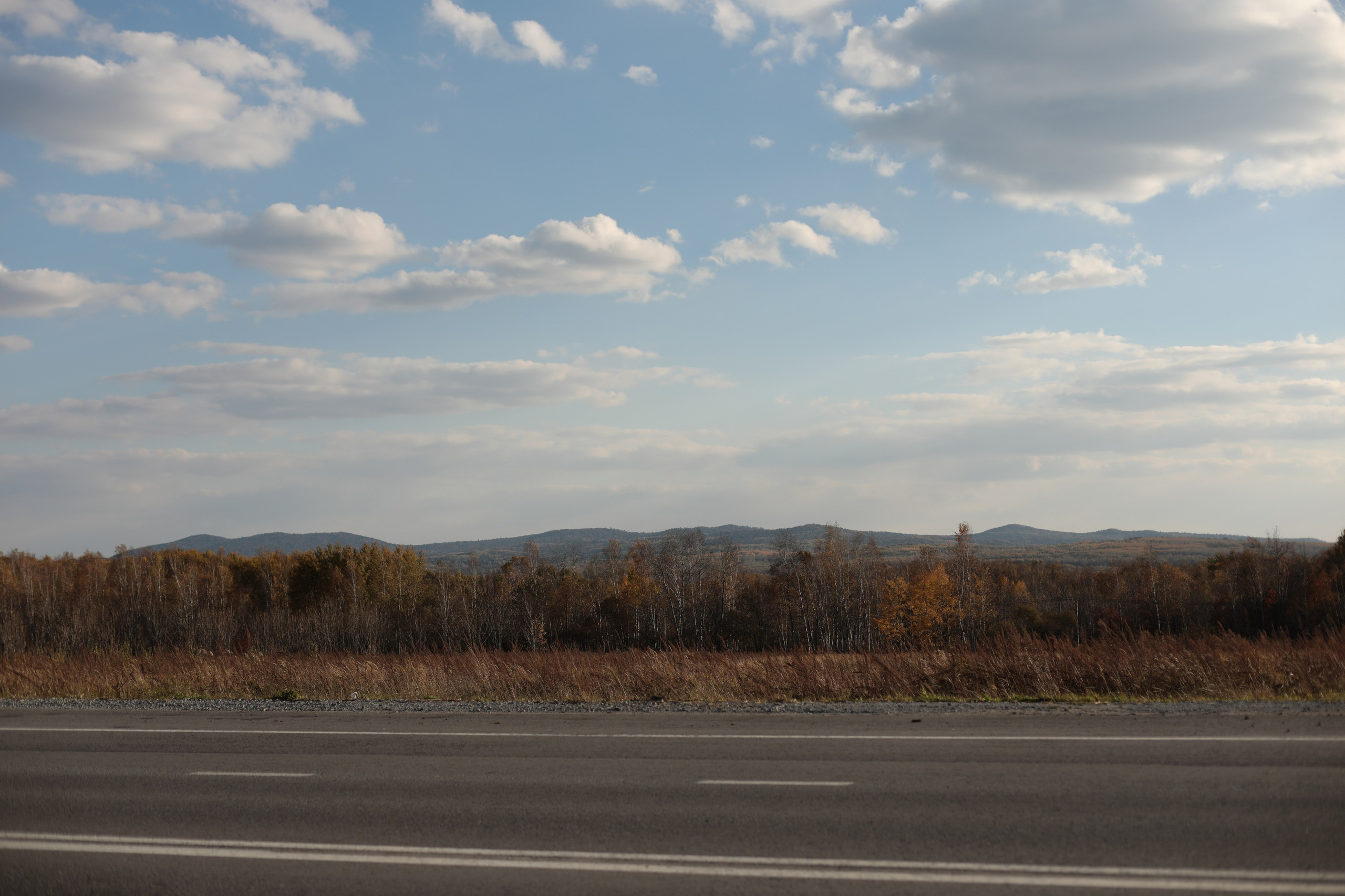 Елены и Антона. Фотограф г. Хабаровск. Семейные и индивидуальные съёмки