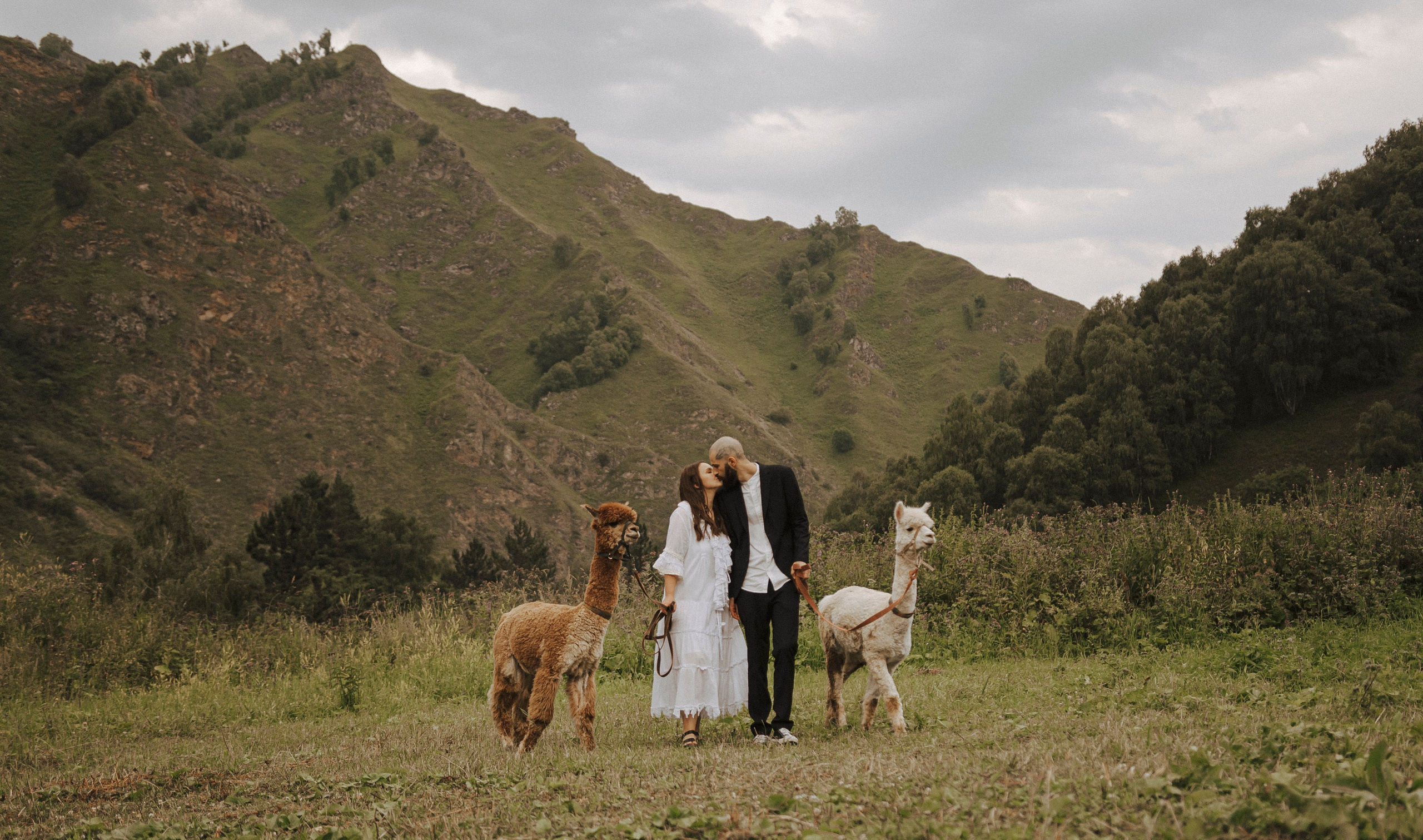 TIGRAN & VICTORIA | KISLOVODSK. Фотограф Настя Конник | Пятигорск | Эльбрус | Домбай | Архыз
