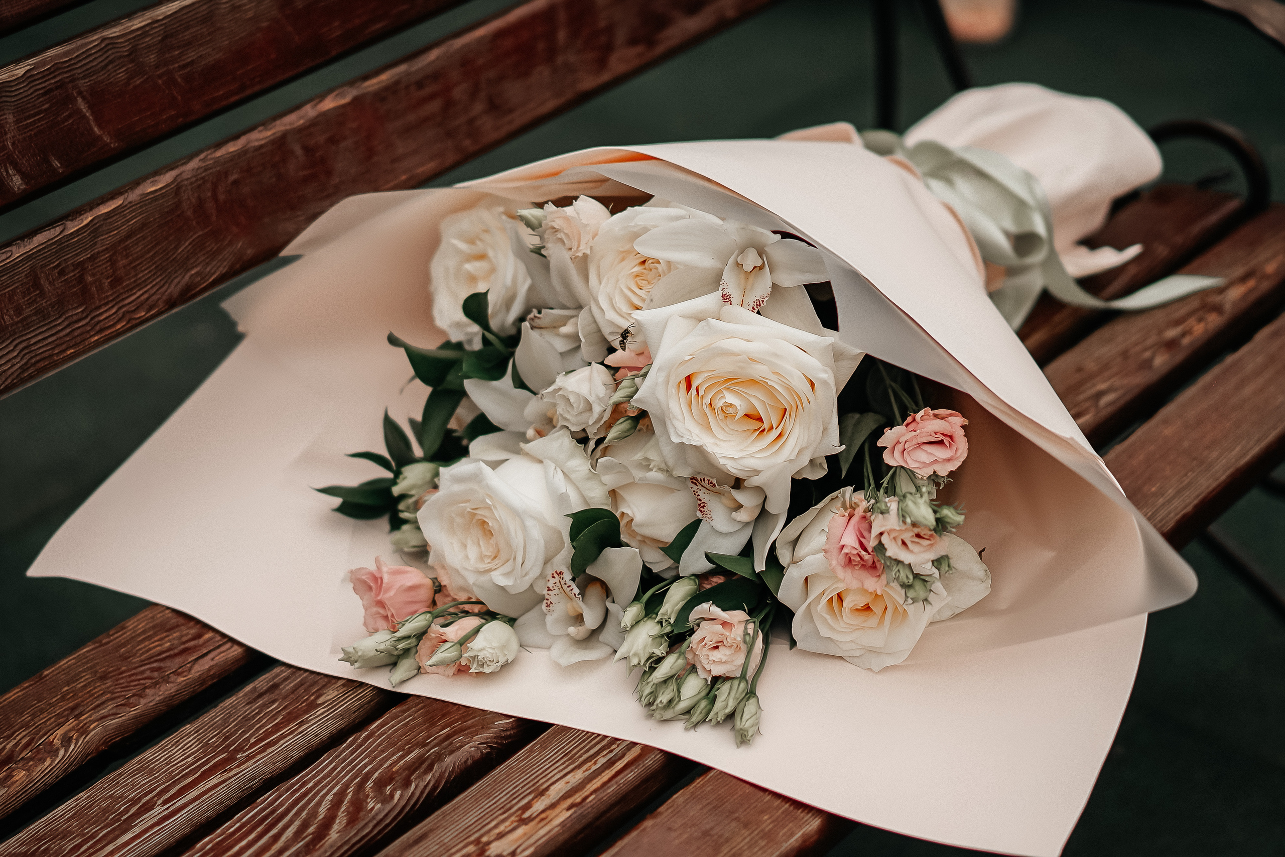 Лера и Максим | 29.07.2023. Фотограф и видеограф Смоленск | Студия Цезарь