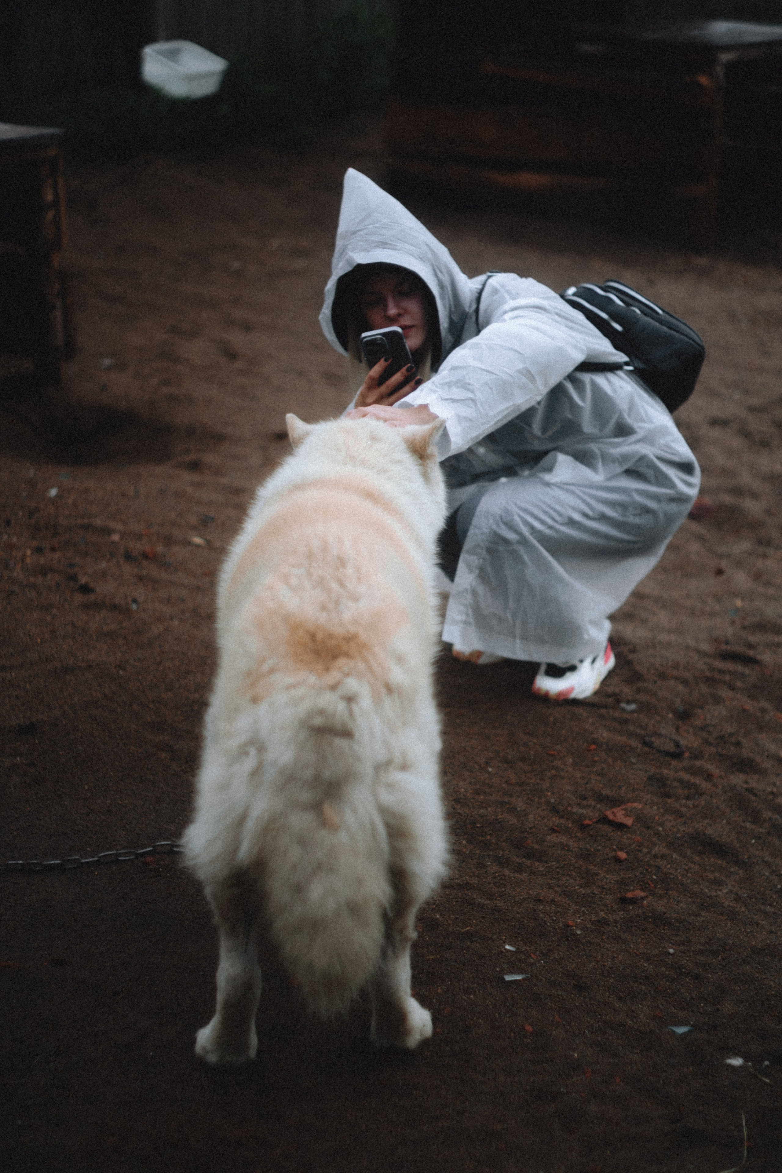 Териберка, Мурманск. Фотосъёмка для компании по организации туров в коллаборации с Яндекс 360