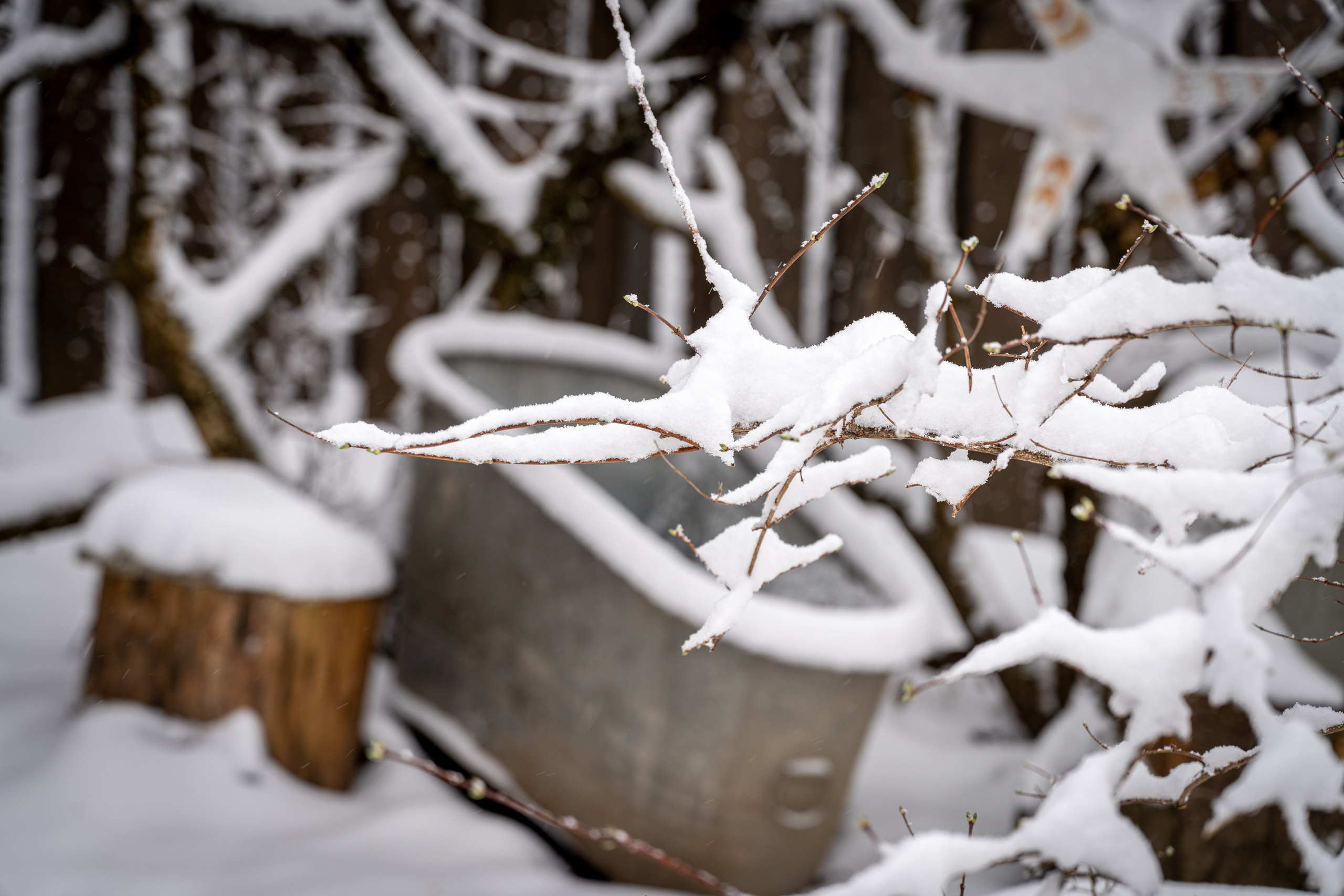 Таруса. ПОБУДЬ ЗДЕСЬ И ЦЕЛЕЕ БУДЕТ ЭТОТ МИР