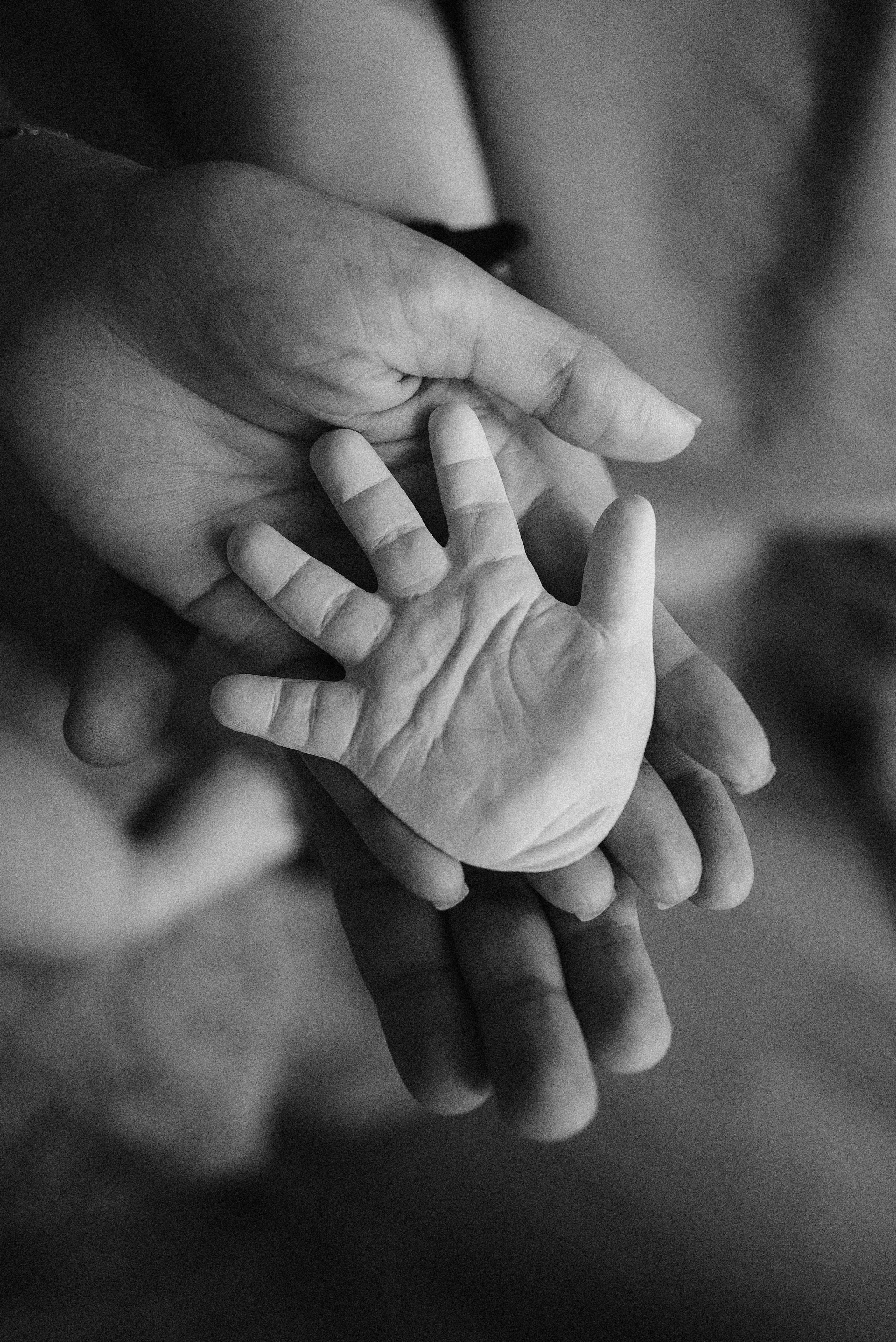 Иван, Наталья и Марта. Семейный фотограф Юлия Власова