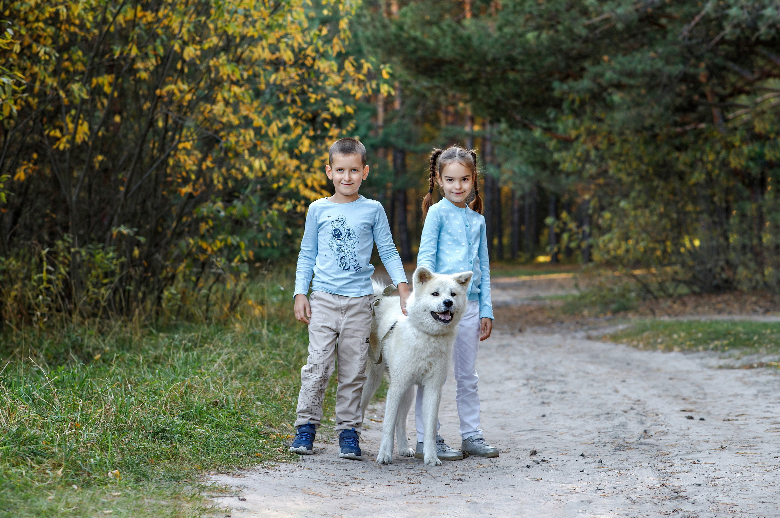 Золотая осень. Свадебный фотограф в Томске Юлия Солнечная | Живые эмоции