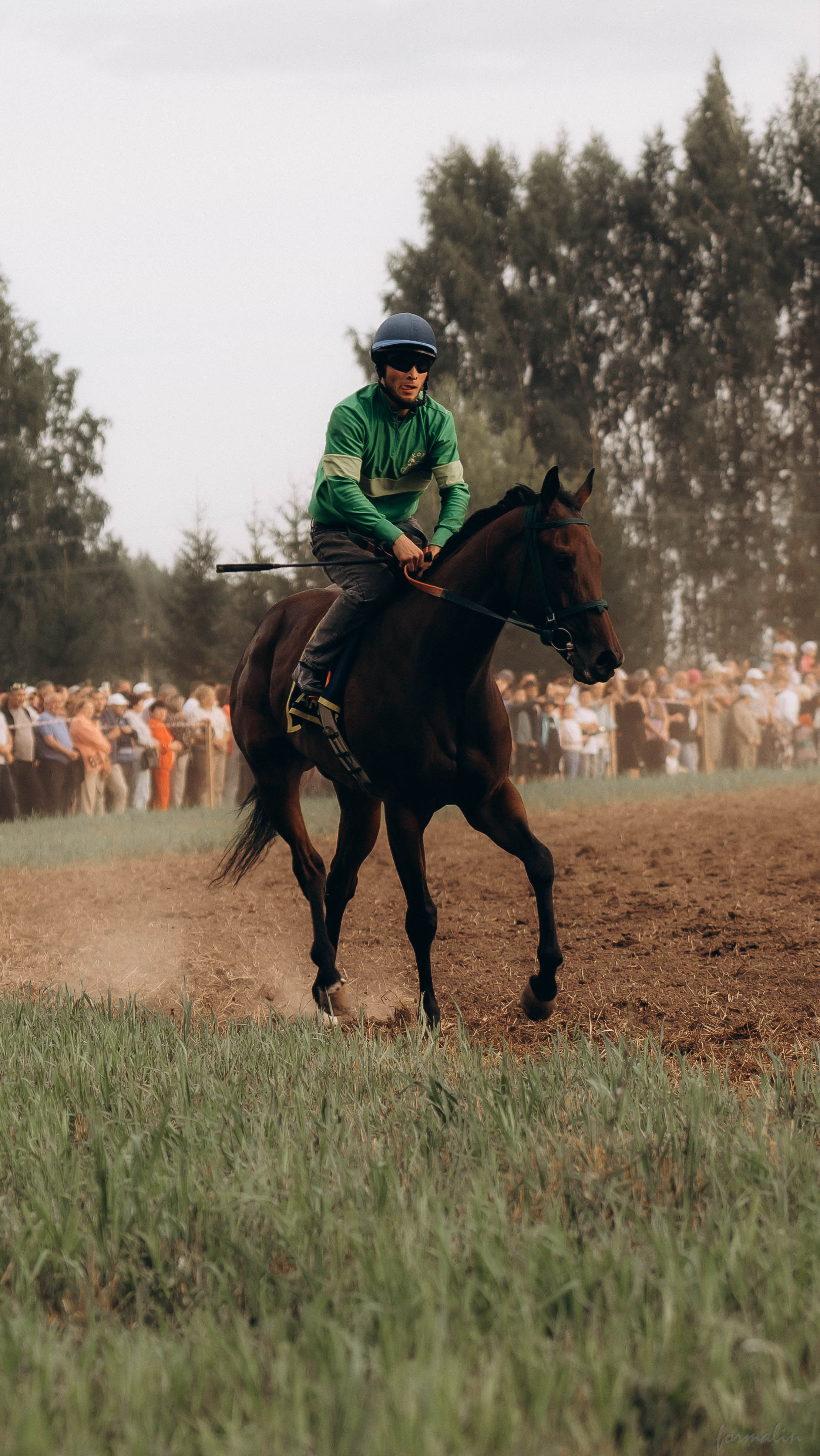 День Коня. Алиса Никитцова | Фотограф в Казани