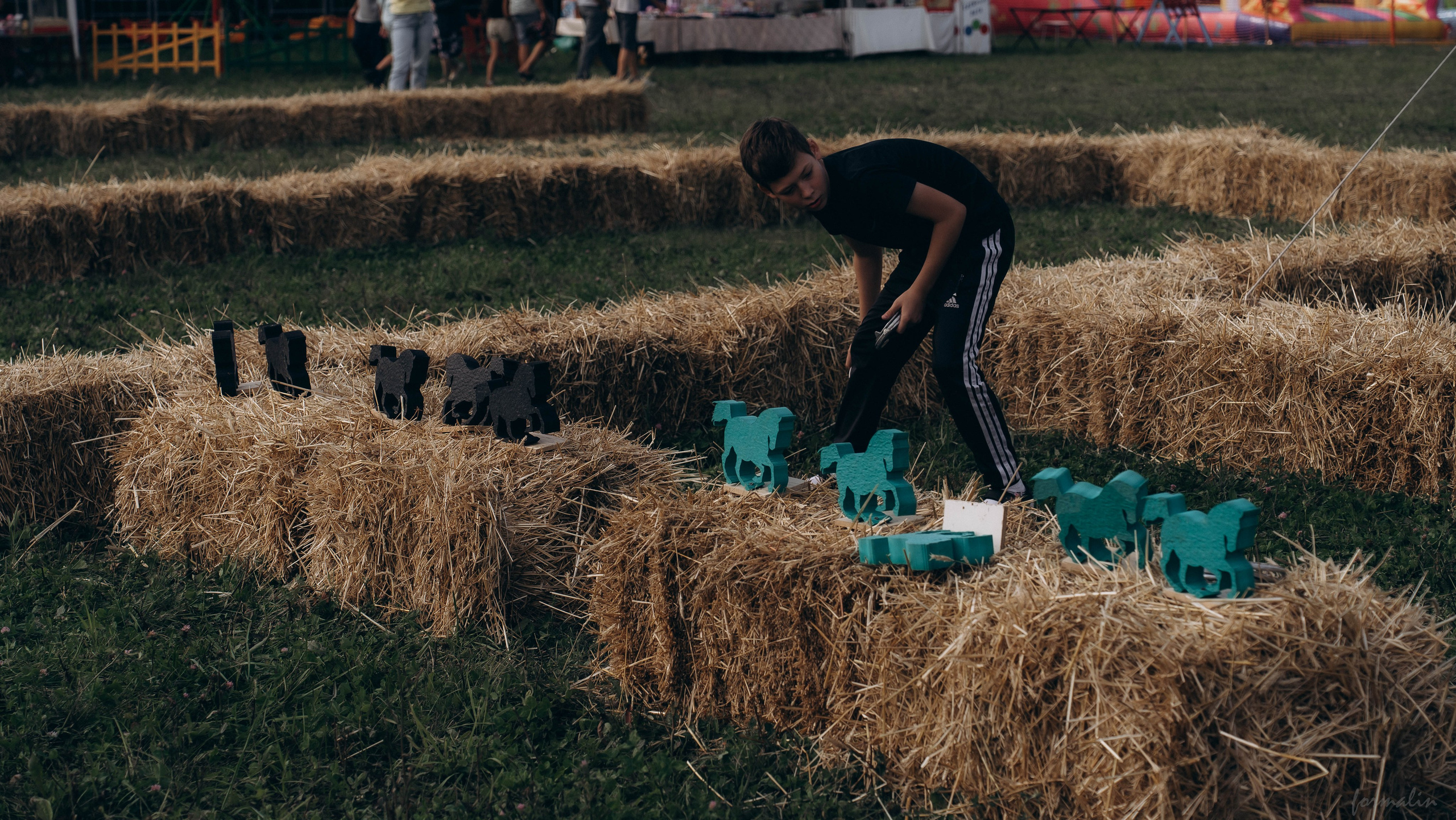 День Коня. Алиса Никитцова | Фотограф в Казани