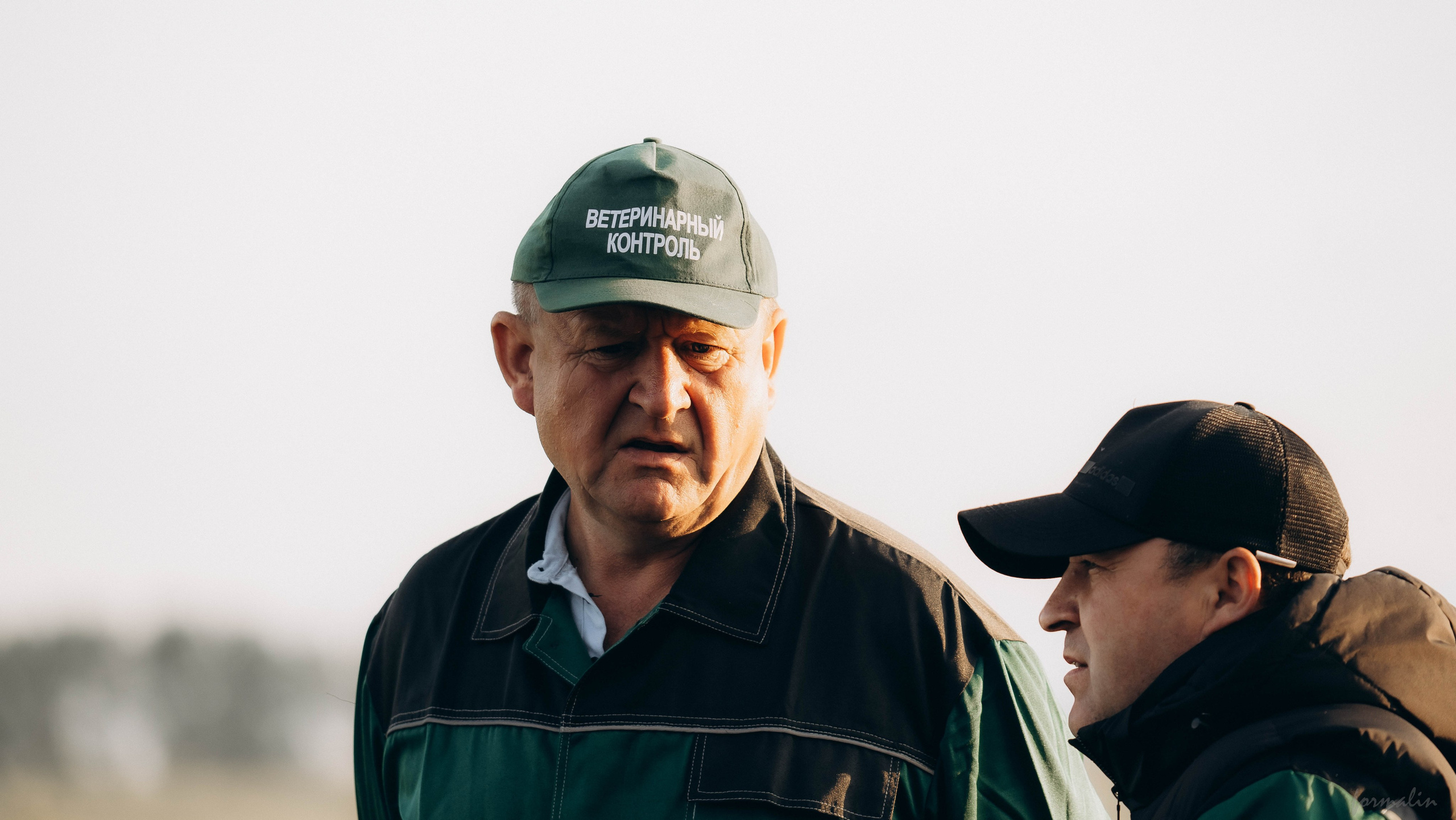 День Коня. Алиса Никитцова | Фотограф в Казани