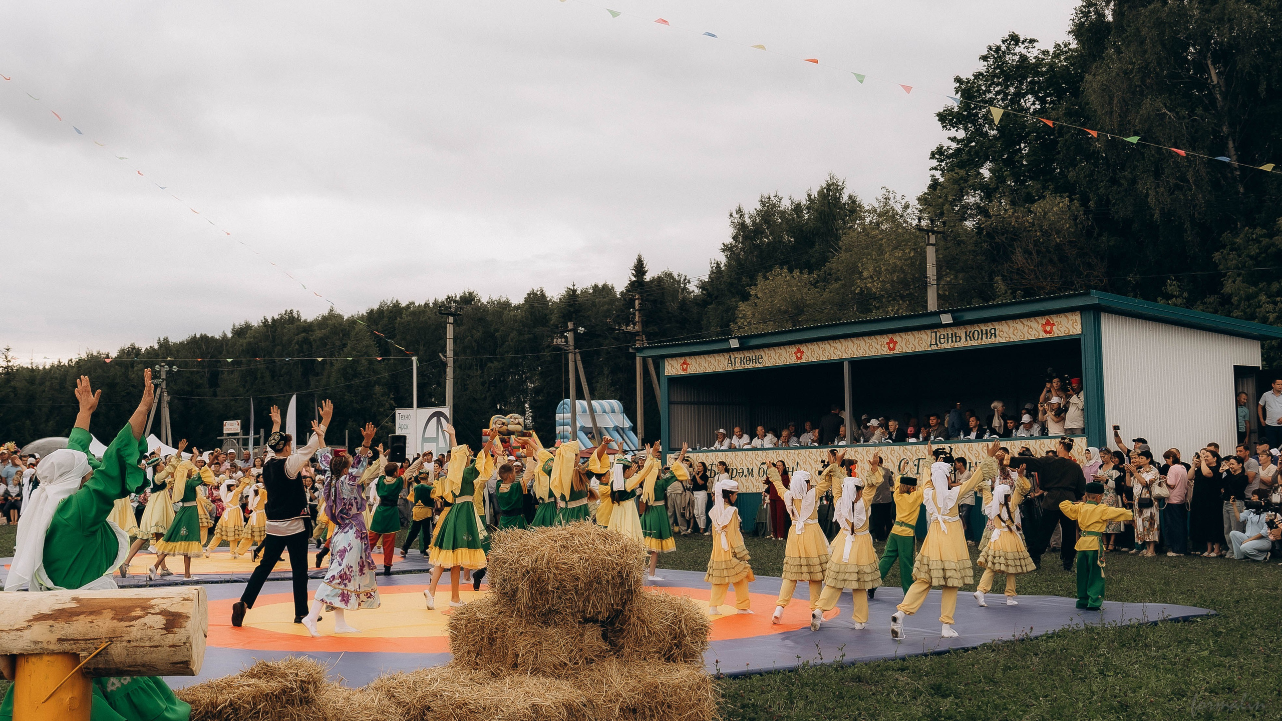 День Коня. Алиса Никитцова | Фотограф в Казани