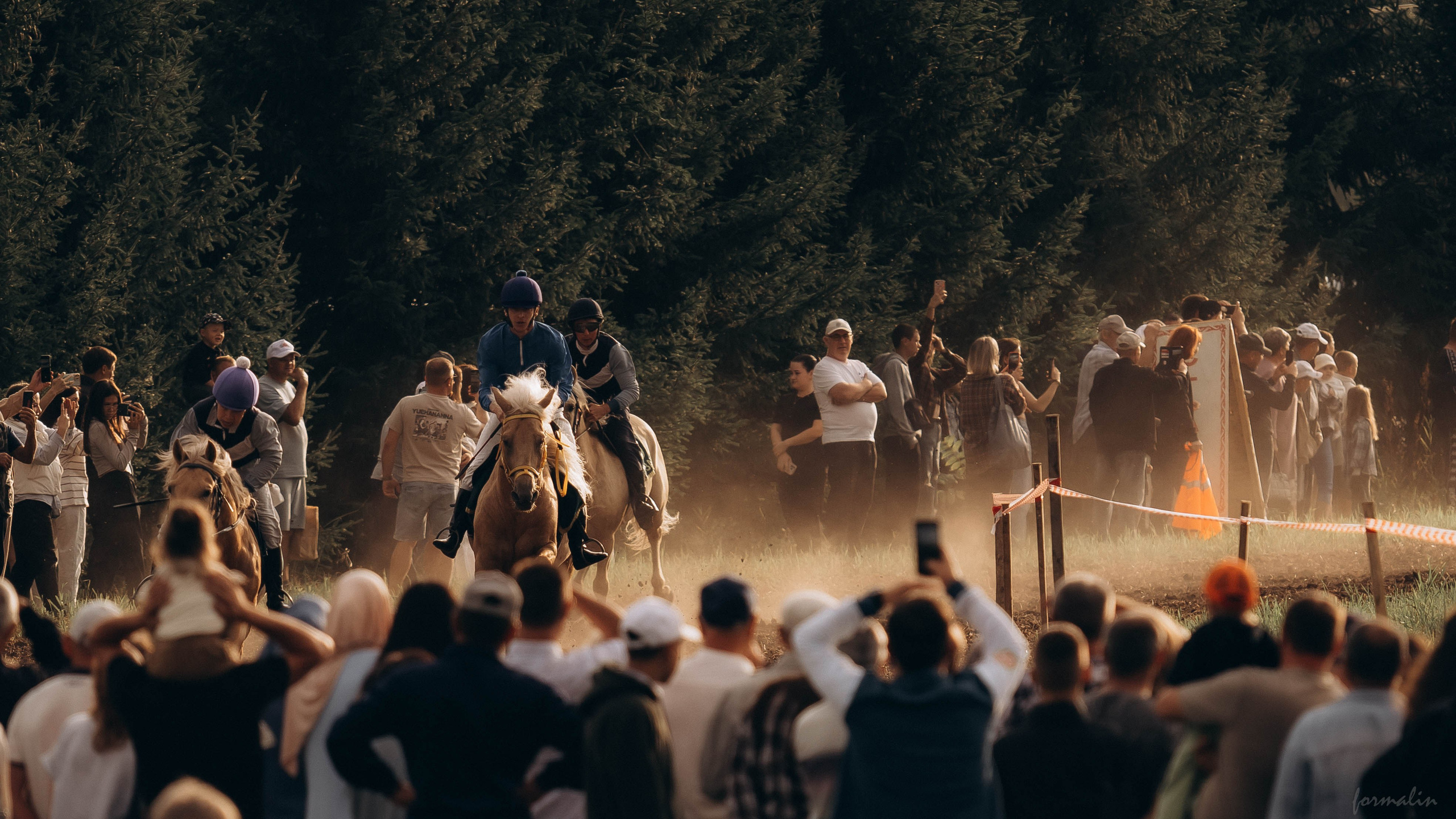 День Коня. Алиса Никитцова | Фотограф в Казани