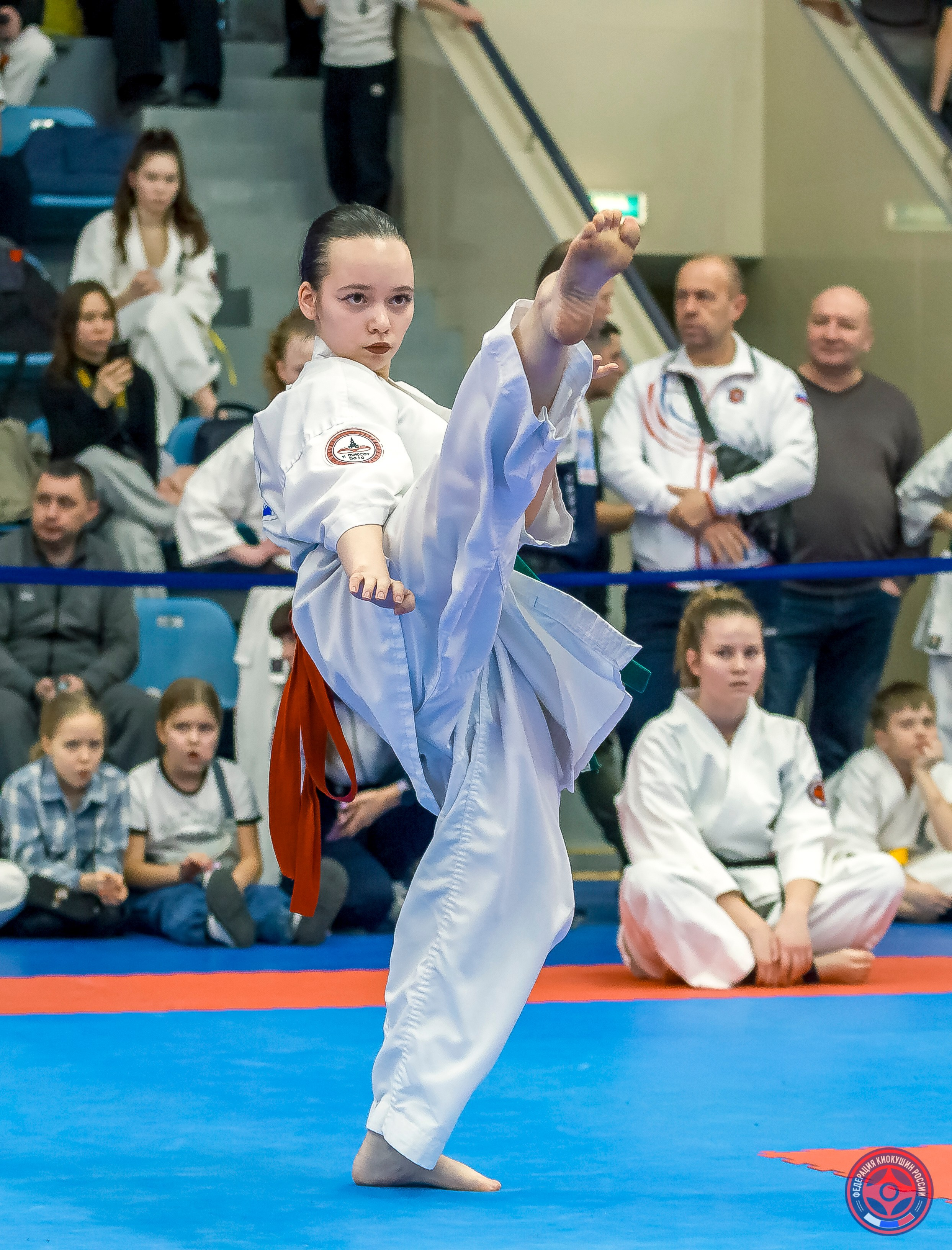 Международный турнир по киокушин «Открытый кубок Seiken». Репортажная съемка в Москве и области. Анималистика