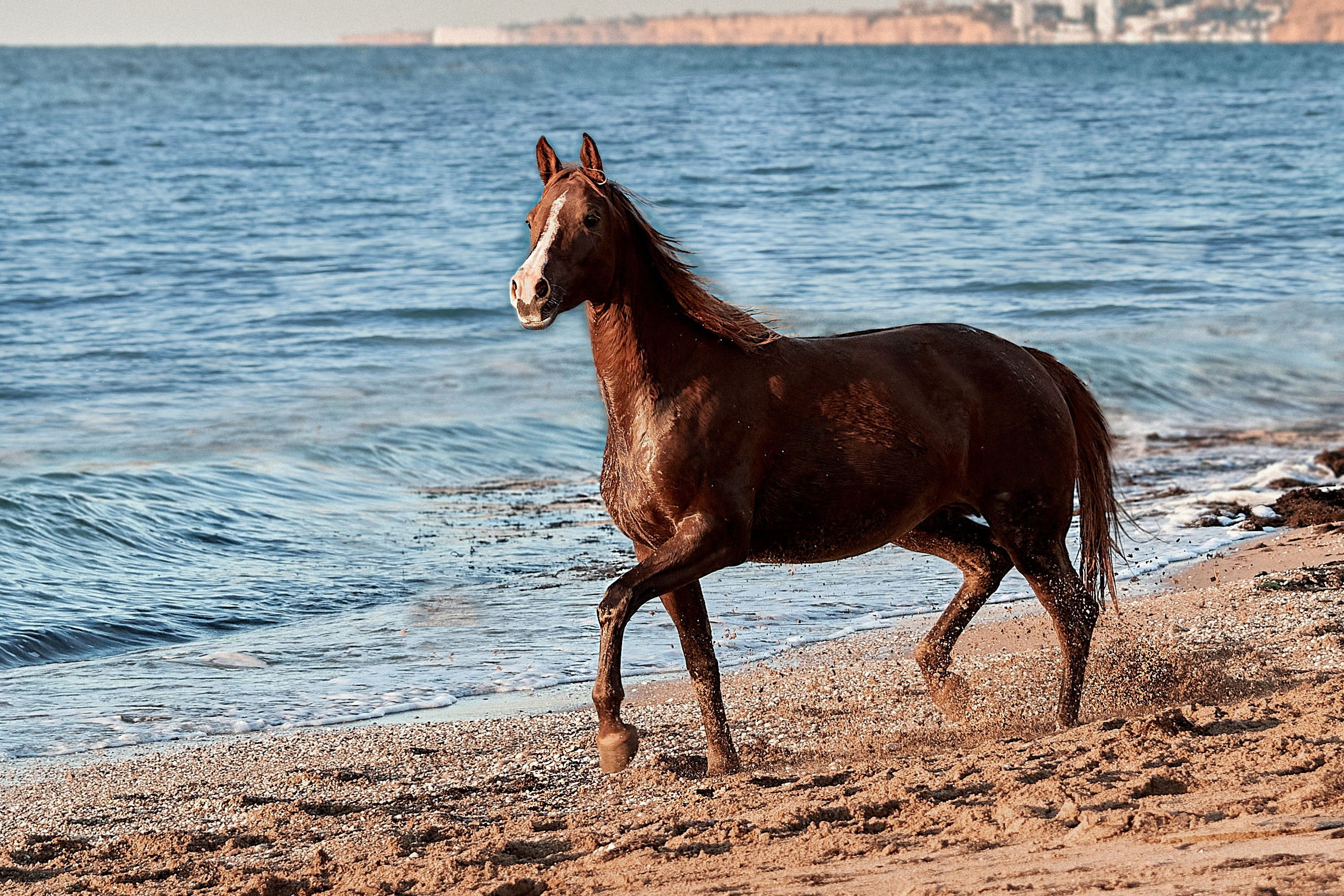 Галактика и Кассиопея. Фотограф в Севастополе