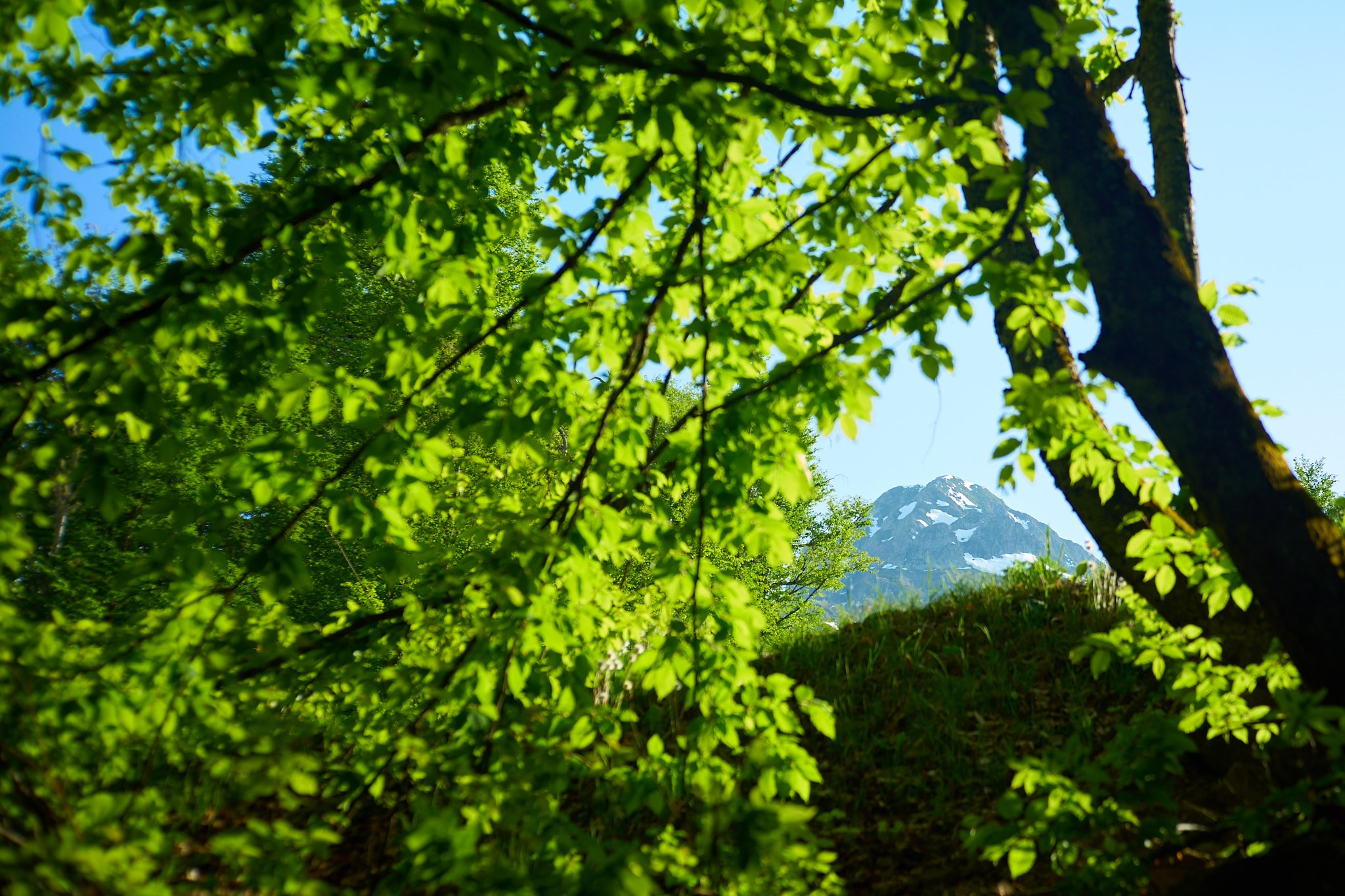 Красная Поляна, апрель 2024. Фотограф, Римма Невинская