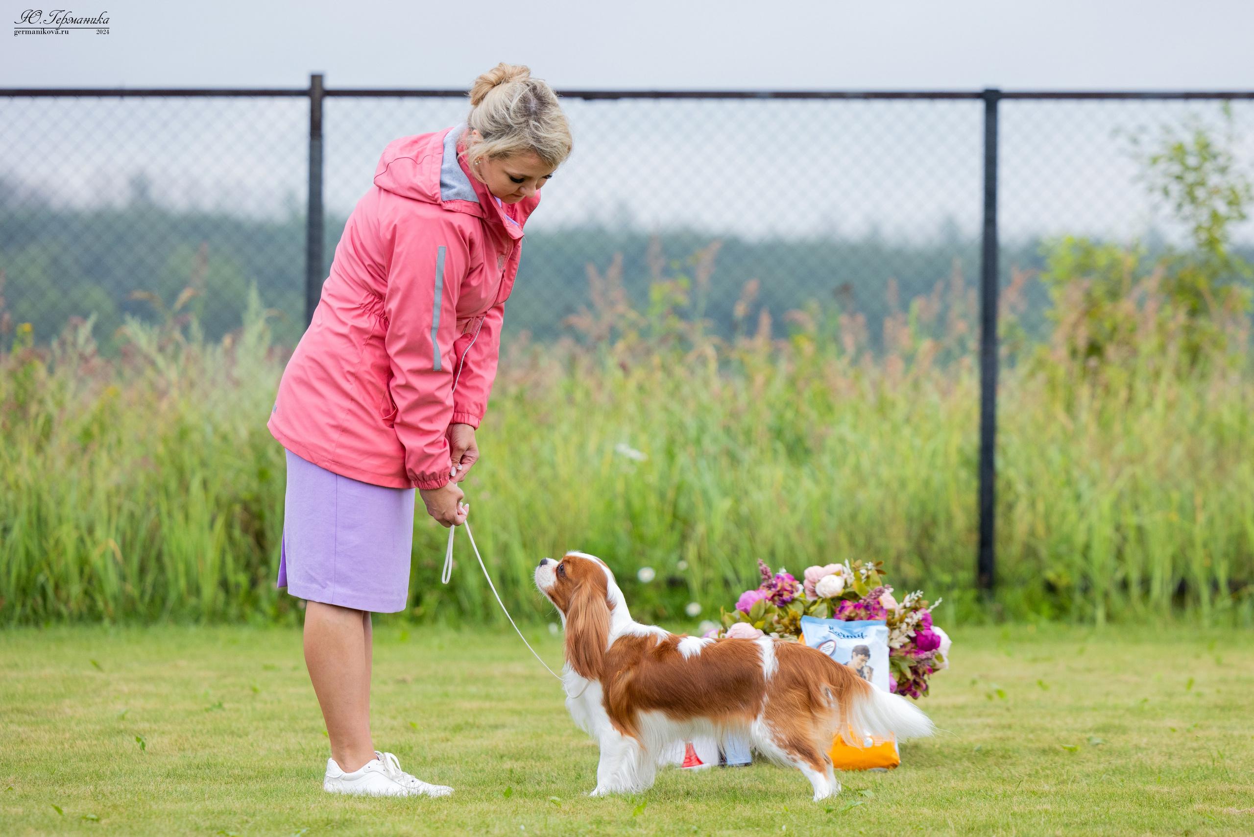 Ярославль 21.07.24 и Балашиха 13.07.24. Фотограф-анималист Юлия Германика