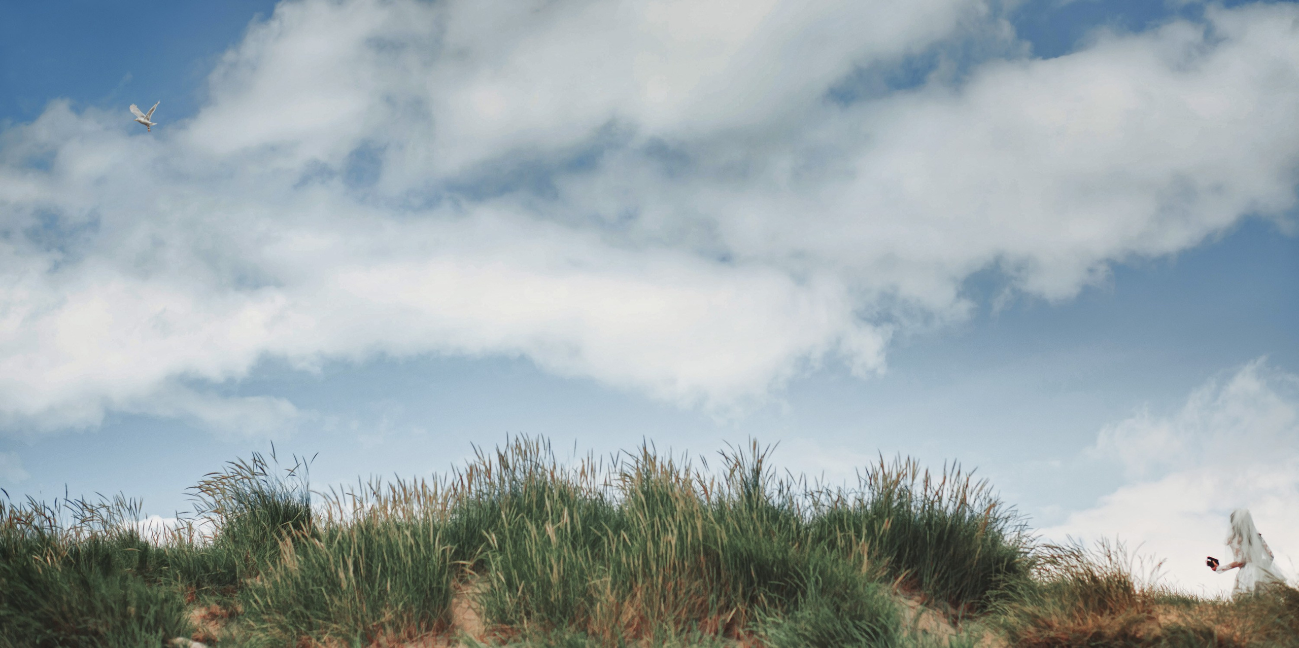 Свадьба у северного моря. Свадебный фотограф Катя Мухина | Москва