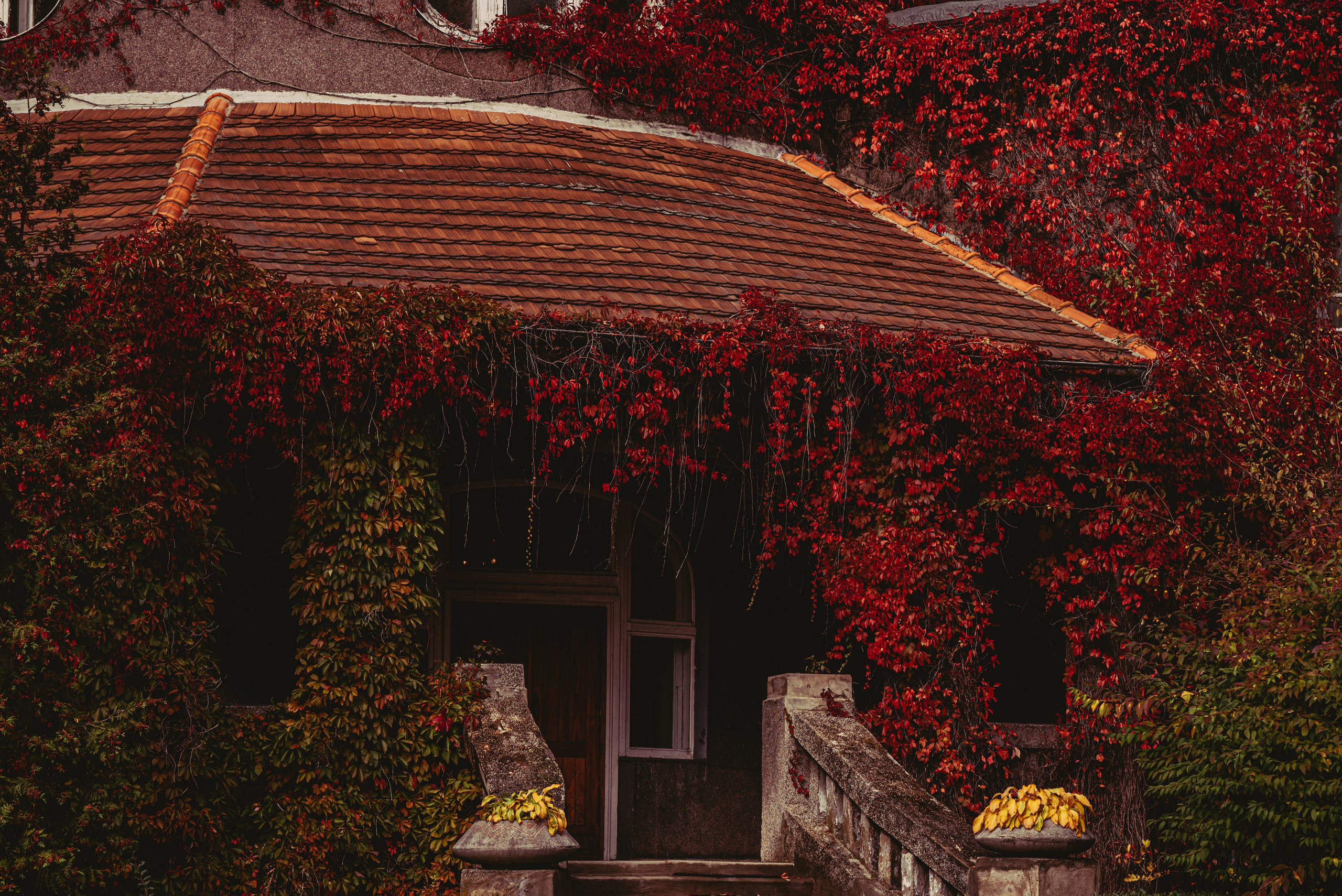 Калининград и его область: через объектив рекламного фотографа из Гуанчжо. Коммерческий и предметный фотограф в Гуанчжоу Коваленко Александр