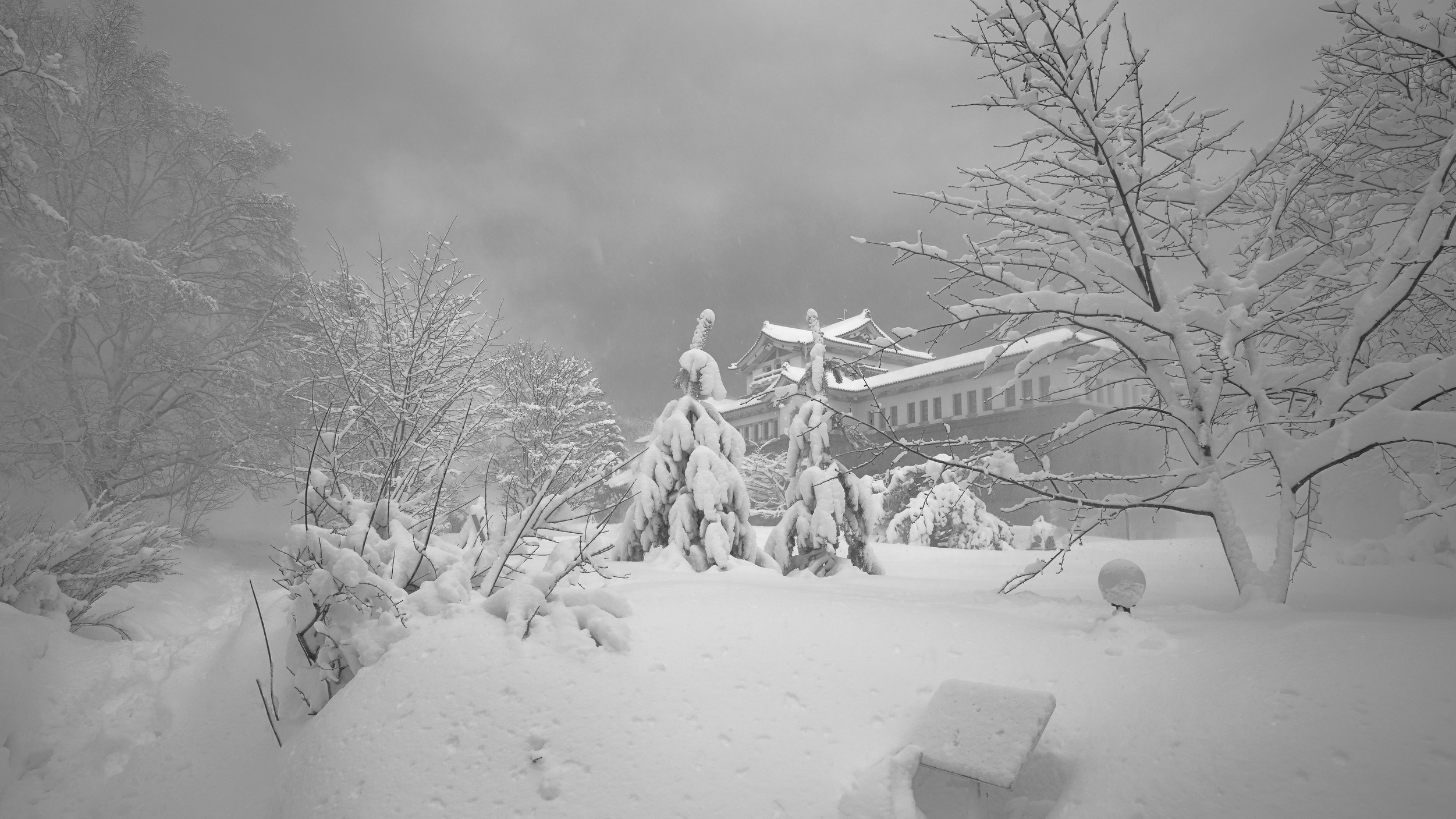 Путешествия (Пейзажи, уличная фотография и др.). Фотограф. г. Южно-Сахалинск. Олег Толстов
