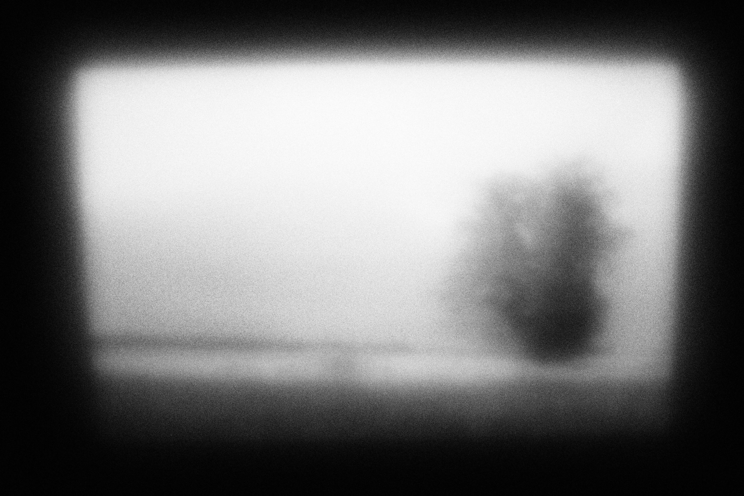 Дилетантские фотографии для заурядных людей