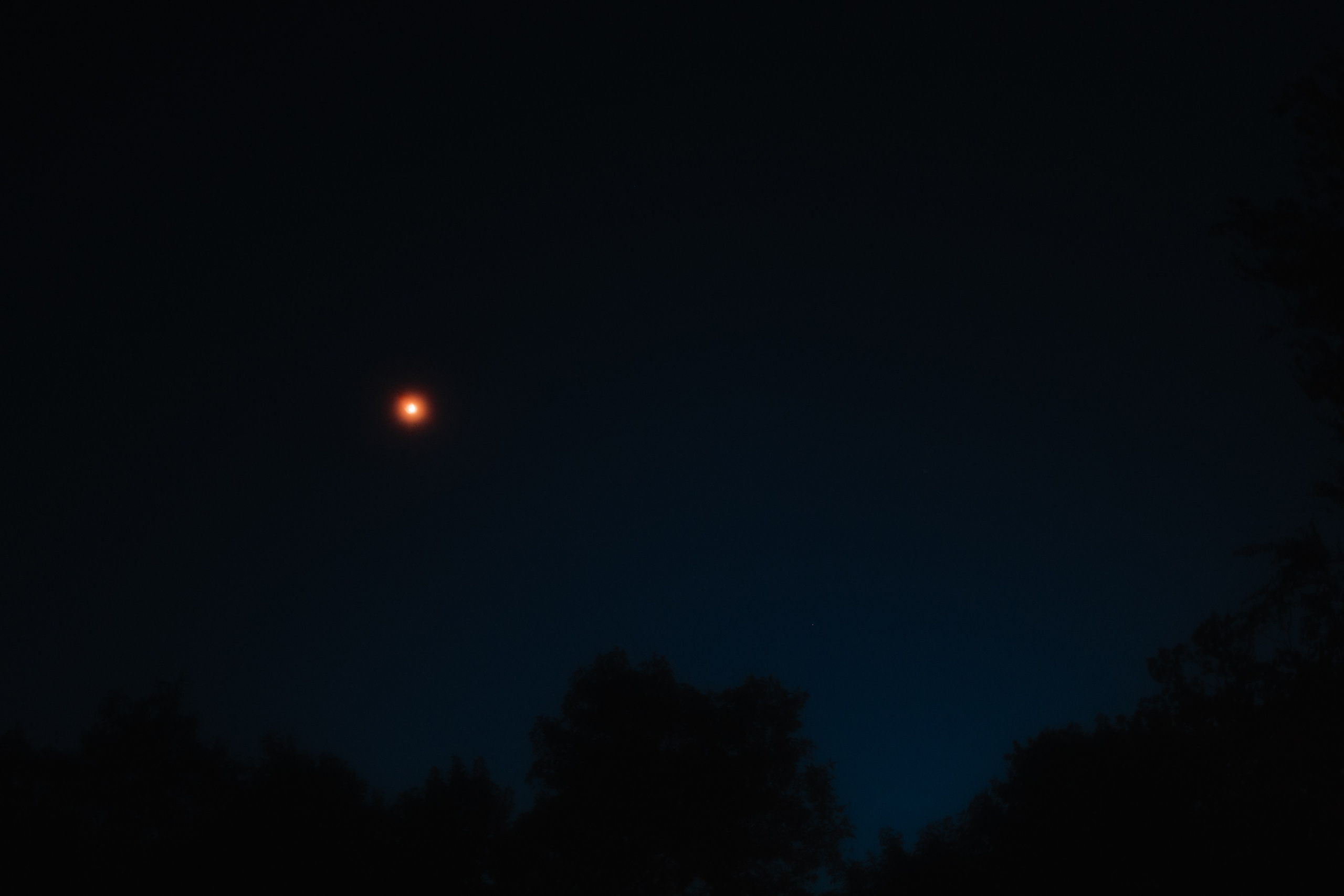 Миша и Полина. Семейный фотограф в Краснодаре Храмова Анна