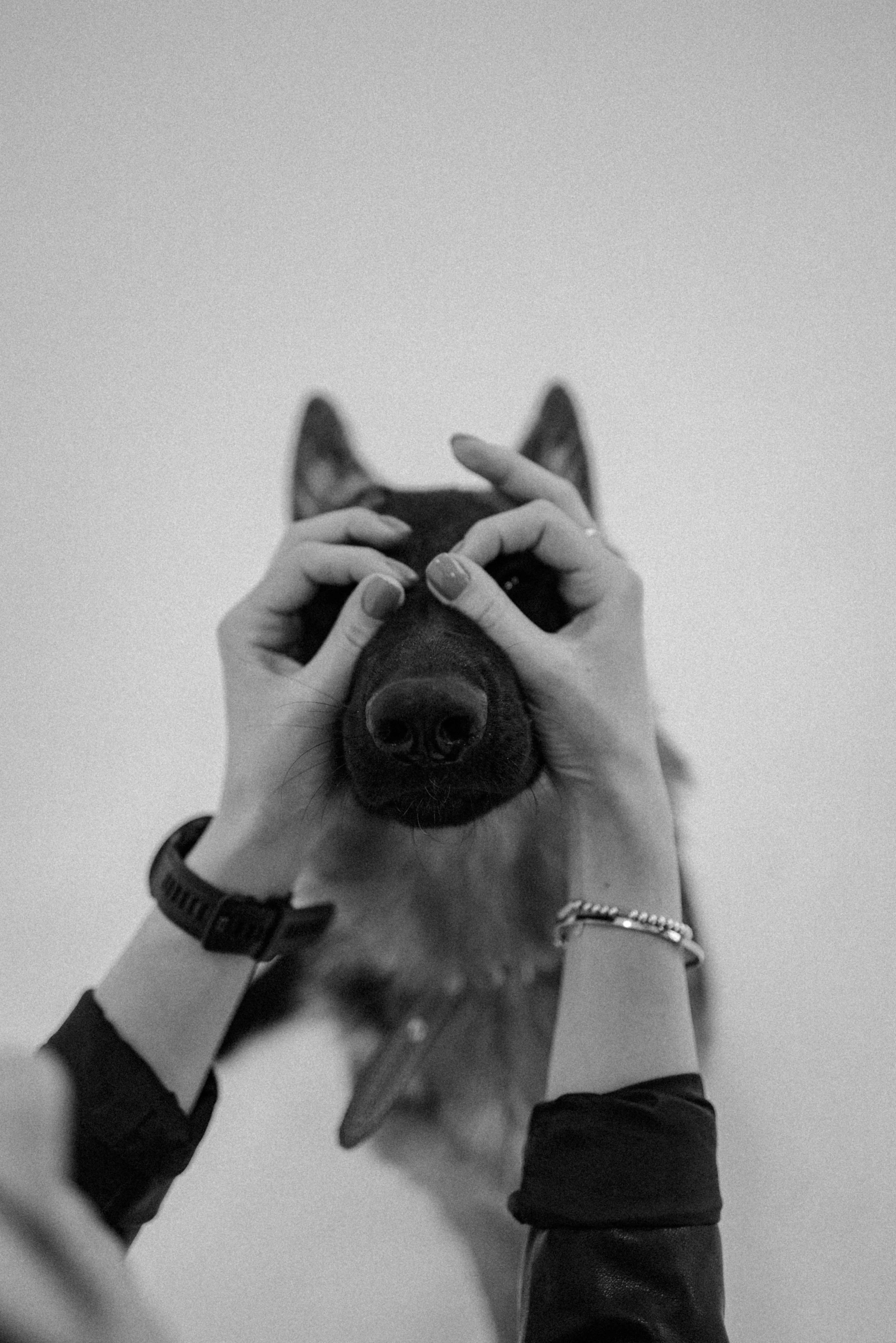 Ася и Буся. Фотограф-анималист в Москве Лера Черноног