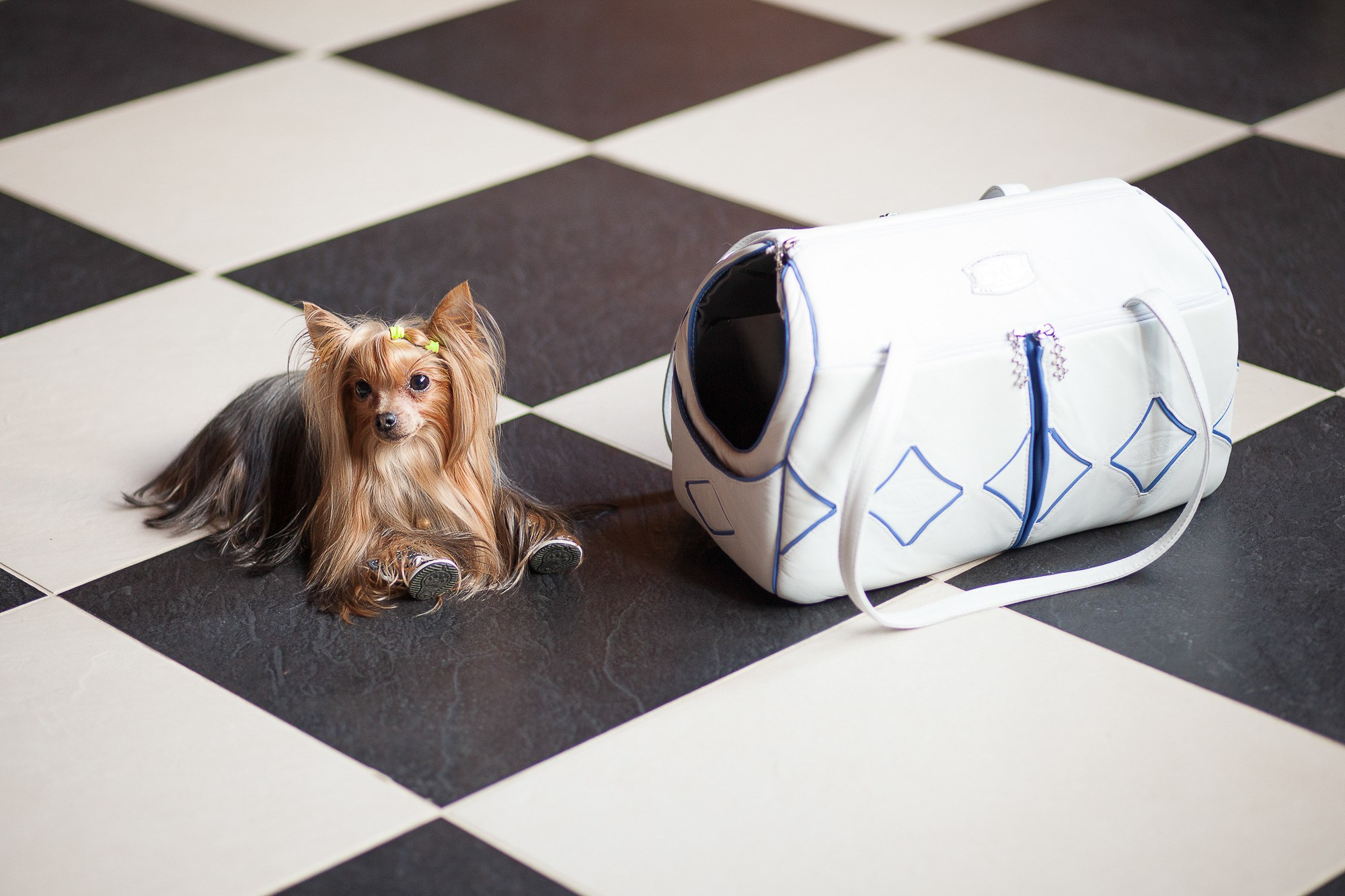 Рекламная и предметная съёмка. Фотоателье и полиграфия | Красивые фотосессии, сувениры с фото | Ремонт смартфонов, ноутбуков и техники в Коломне Zinovyev Team