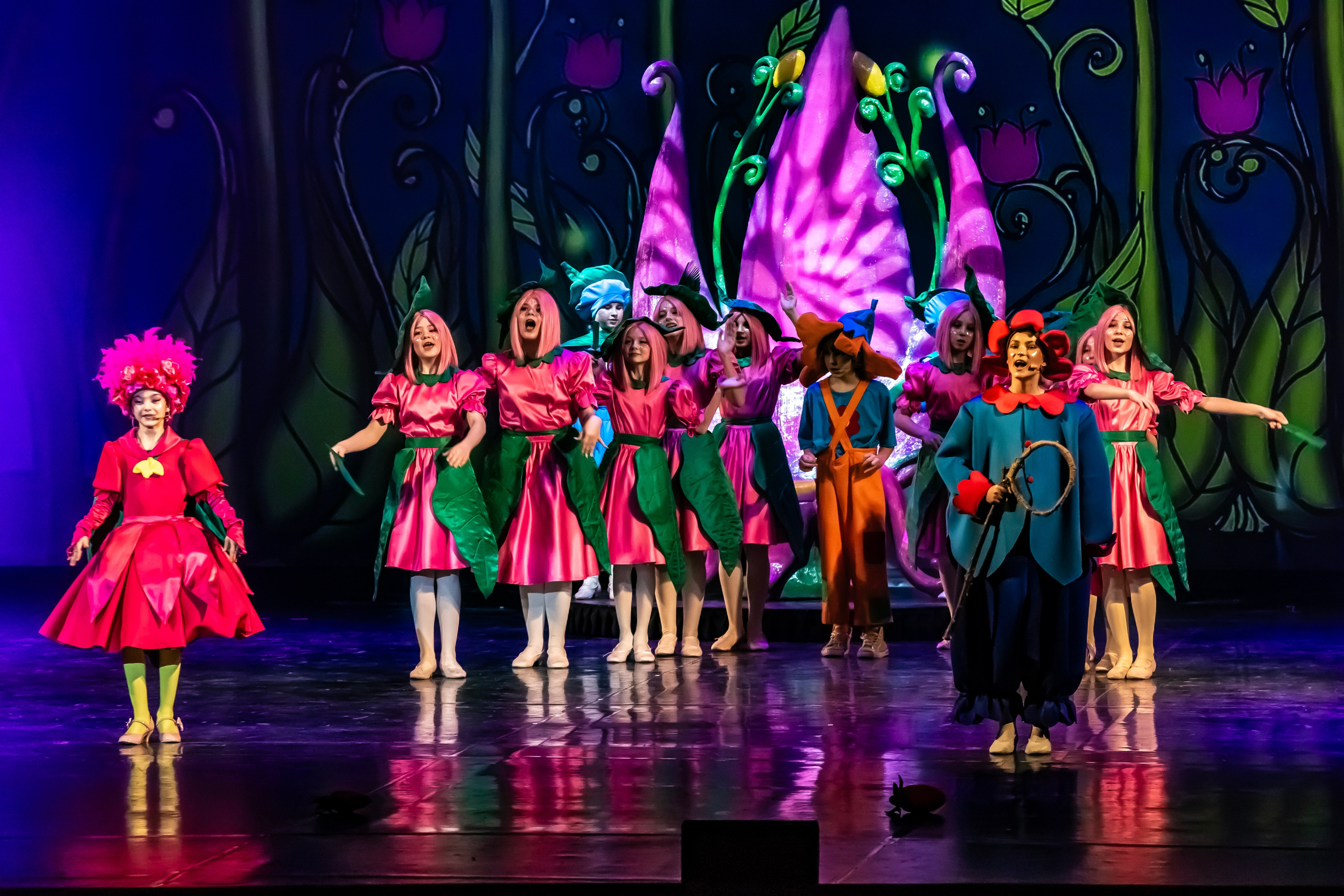 Мюзикл «Незнайка в царстве малюток» премьера Сочи солнышки и Сочи Соло. Фотограф в Сочи Юрий Шептаев