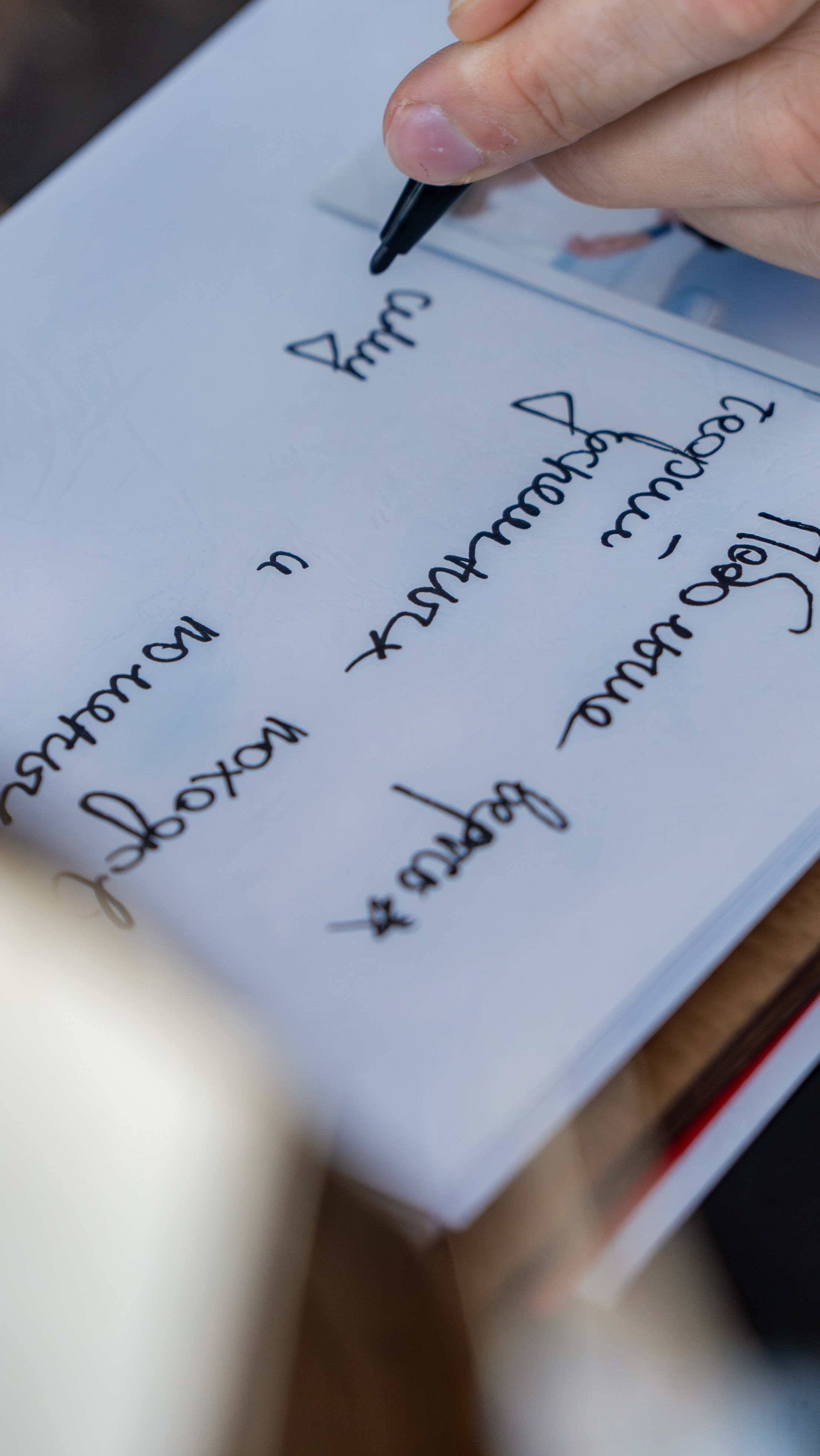 Алина и Арсений. Фотограф и видеограф Андрей Кукишев