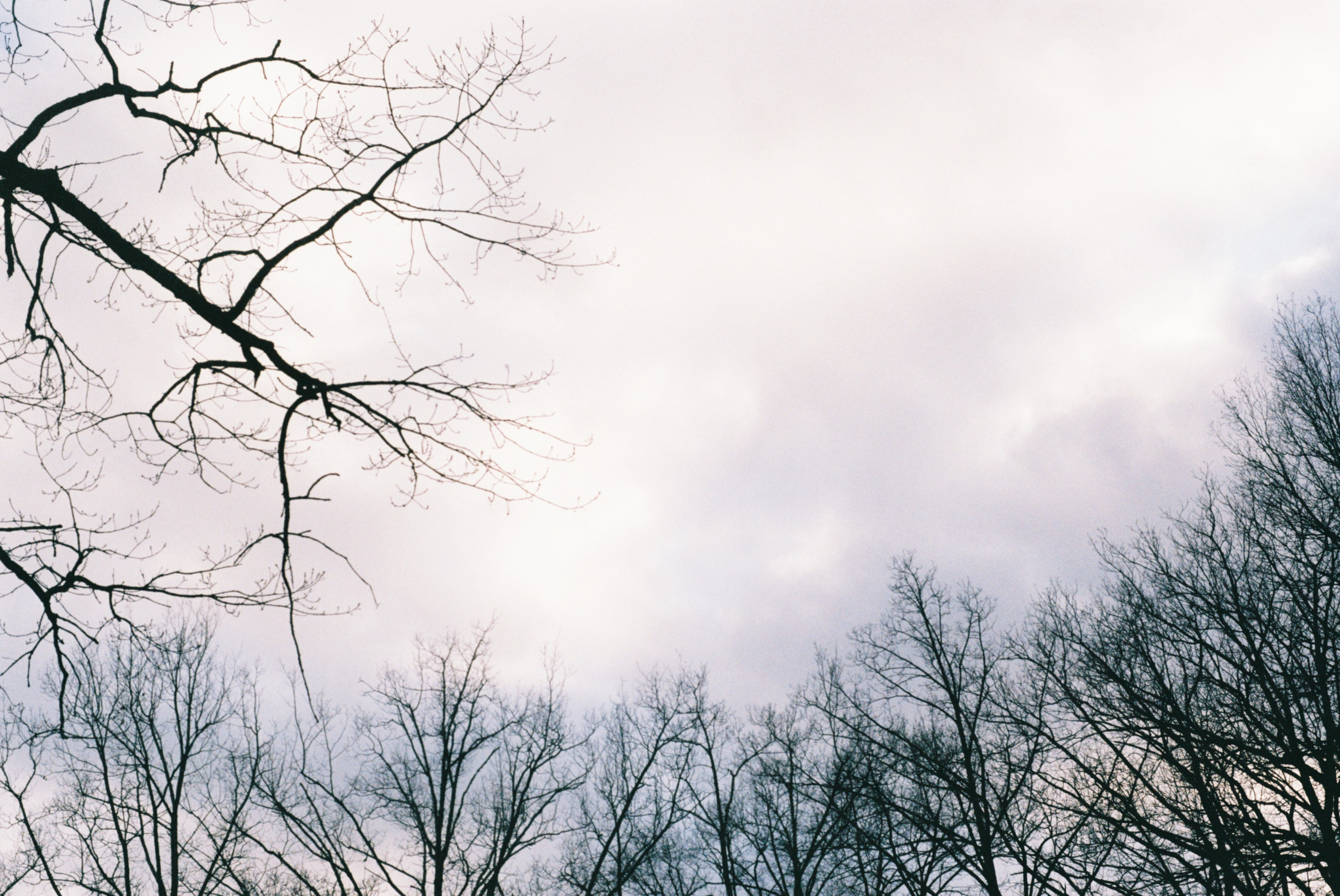 Film. Ruslan UI Dev Page