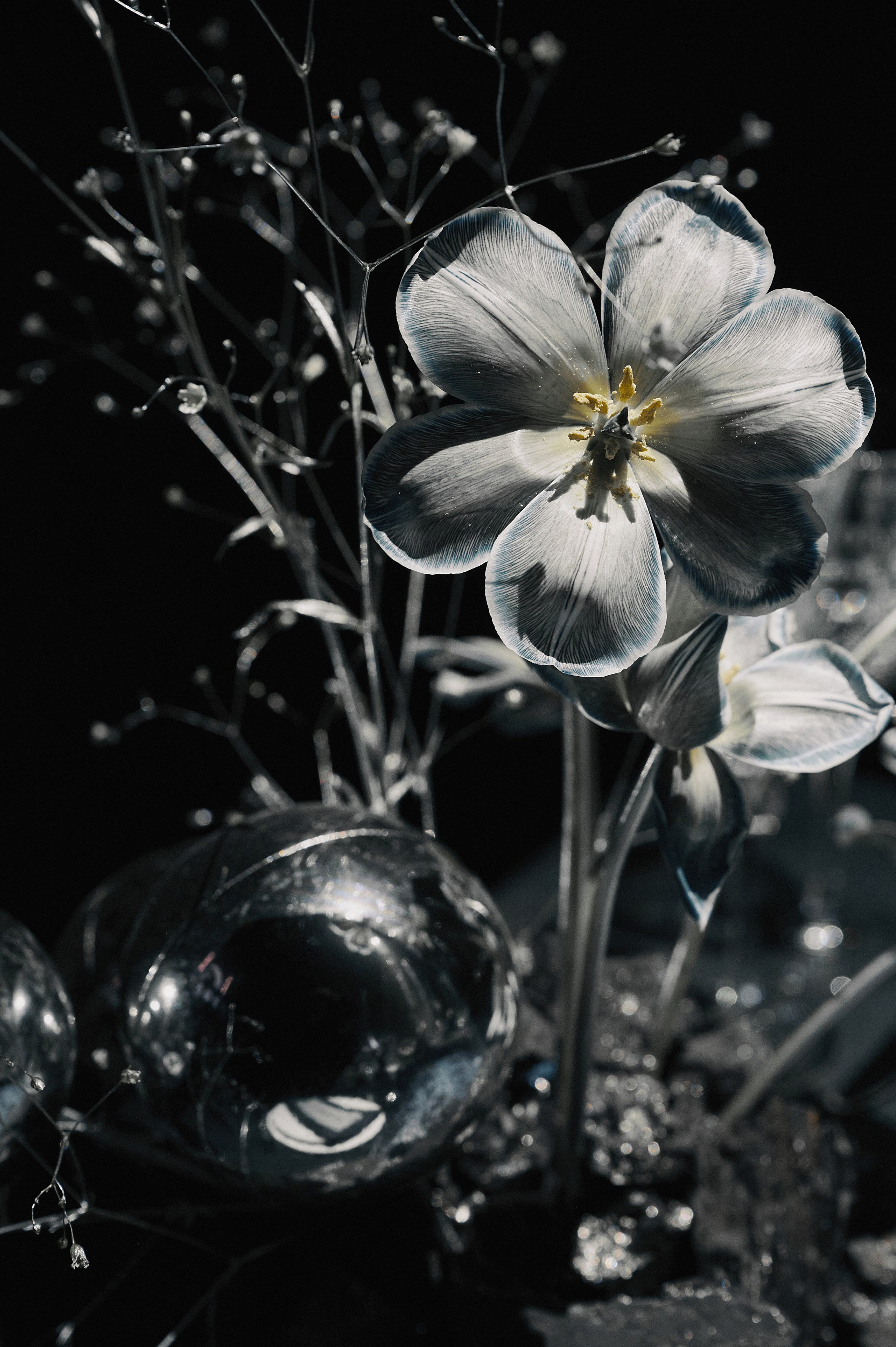 Как с Луны упали. Свадебный фотограф в Ростовe-на-Дону Анастасия Прутова