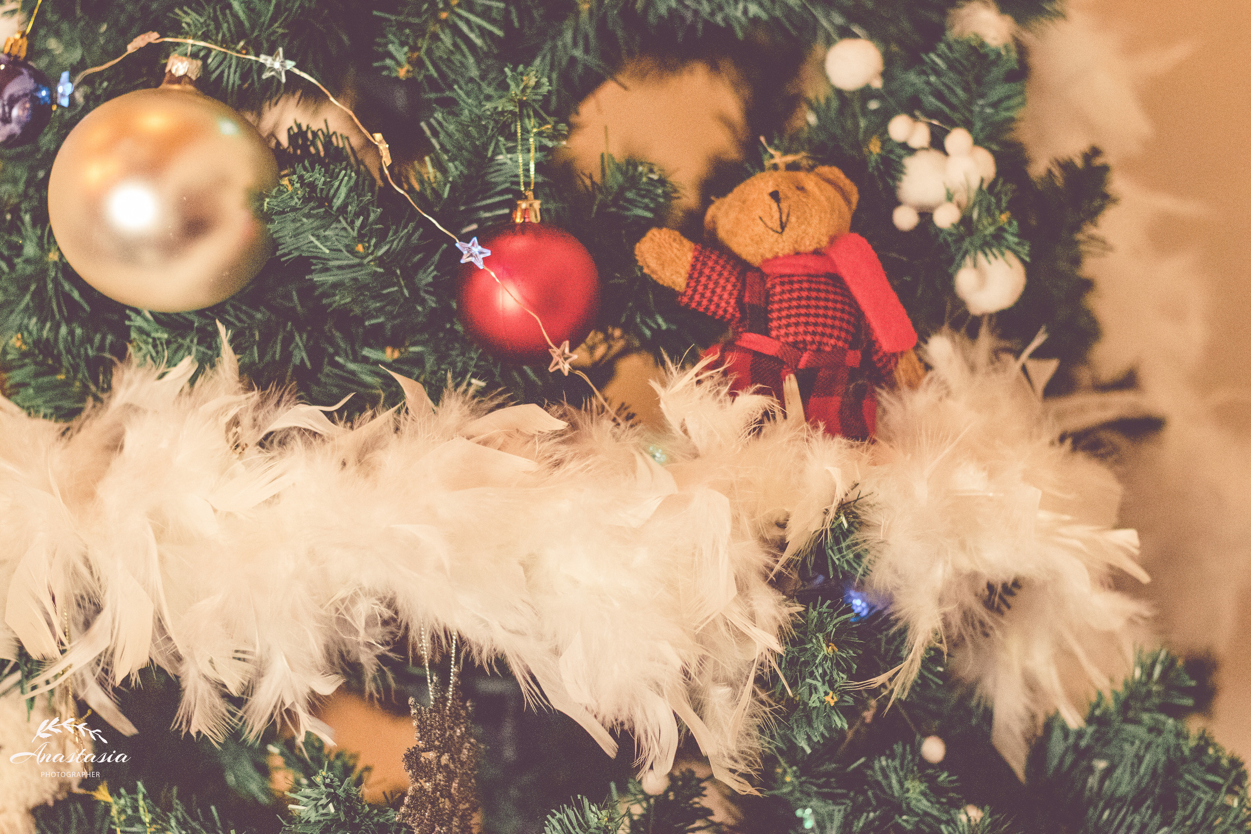 FAIRYTALE. Family, Children and Business photographer in Belgium