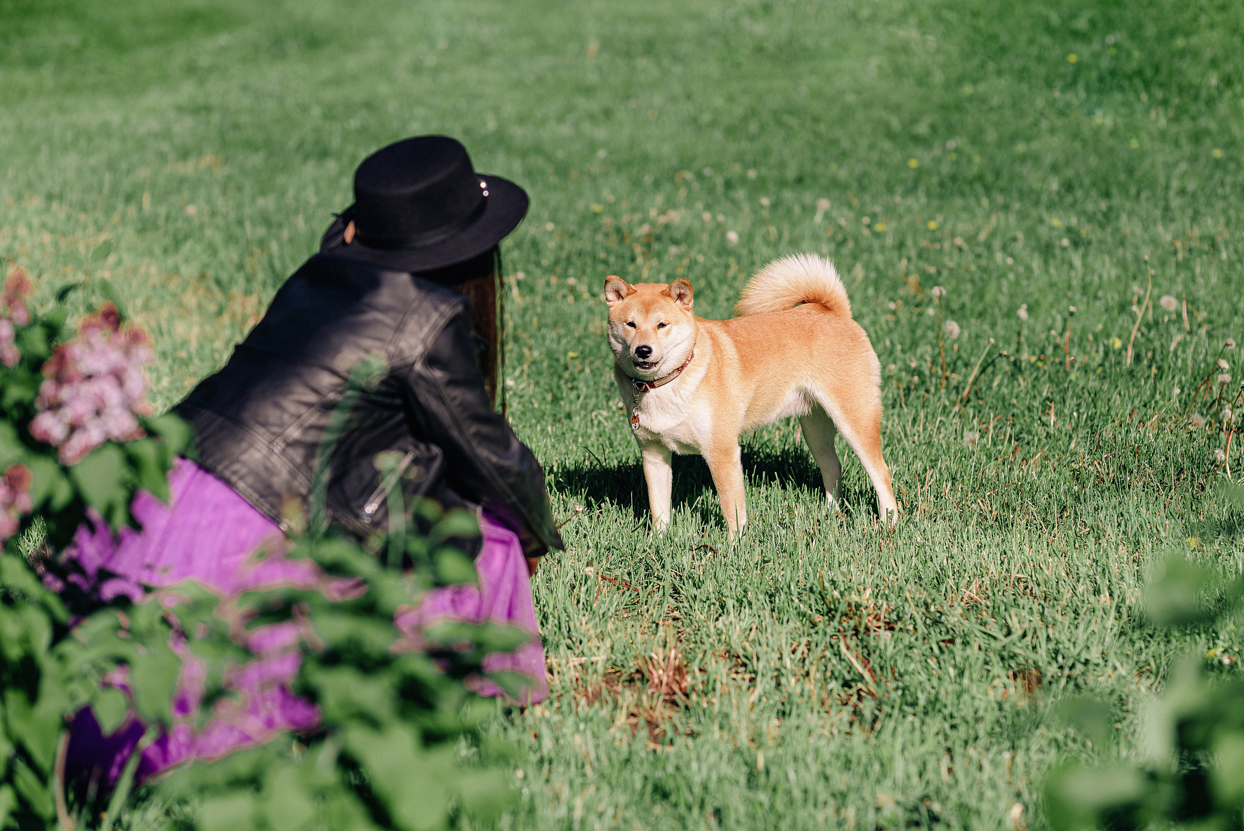Фотосессия с сиренью в Коломенском парке. Портретный фотограф Москва Светлана Кашура
