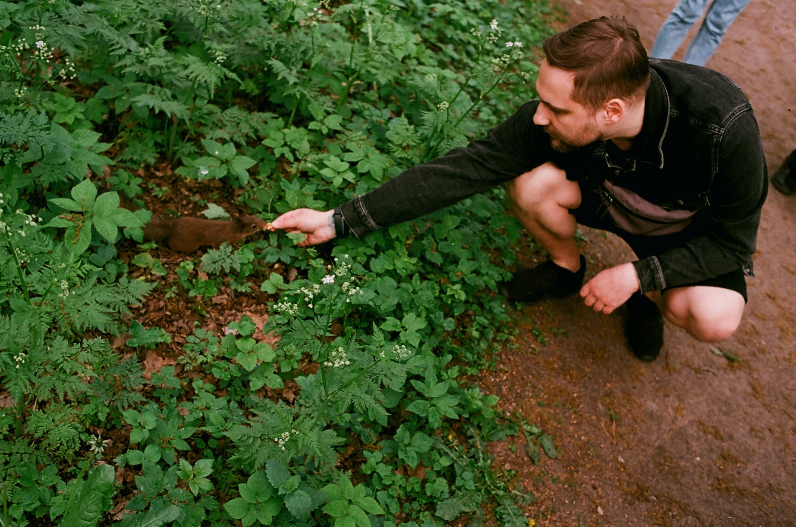 Film. Ruslan UI Dev Page