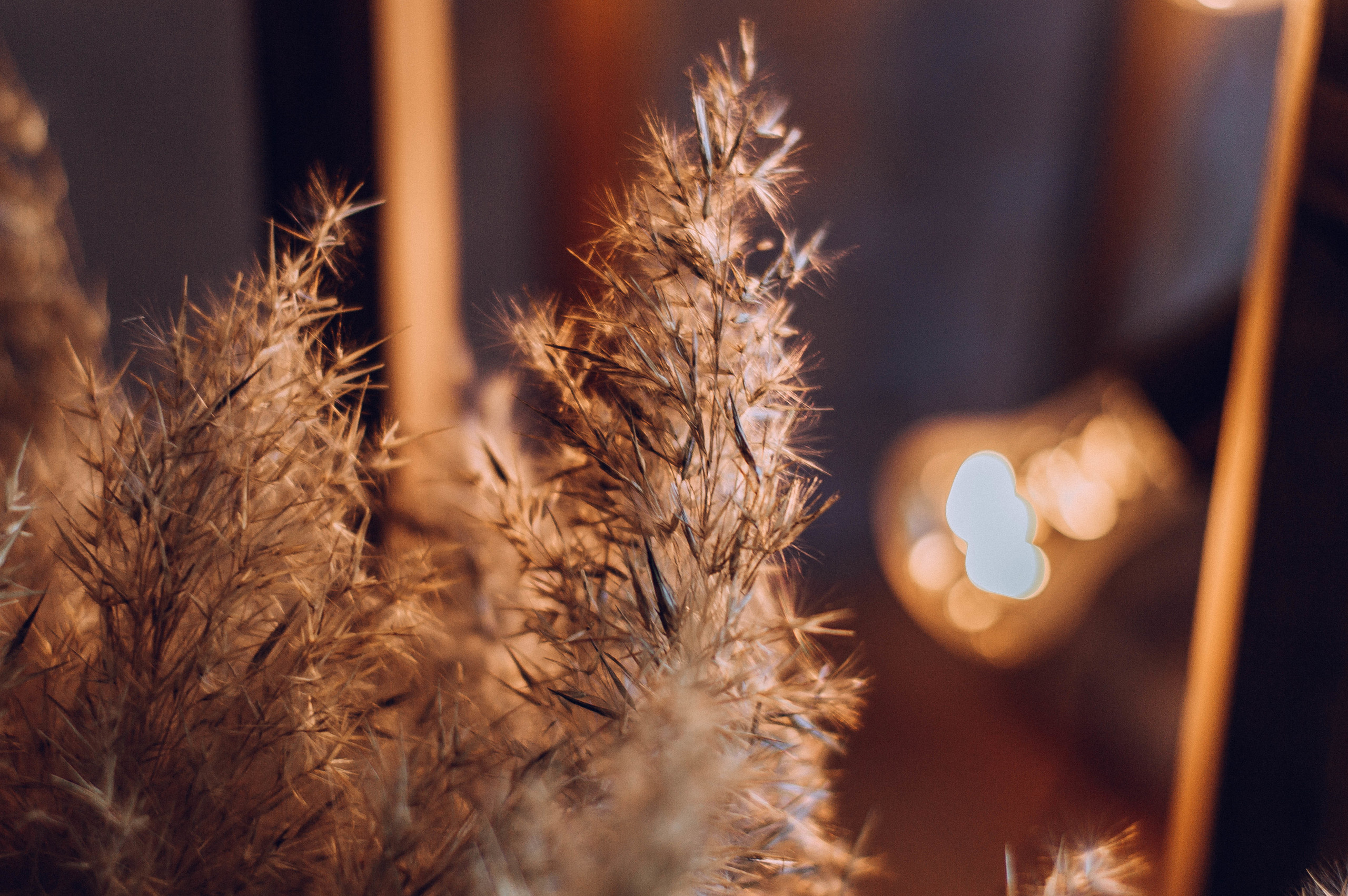 Саша и Алёна. Свадебный и семейный фотограф в Чите Юлия Оранская