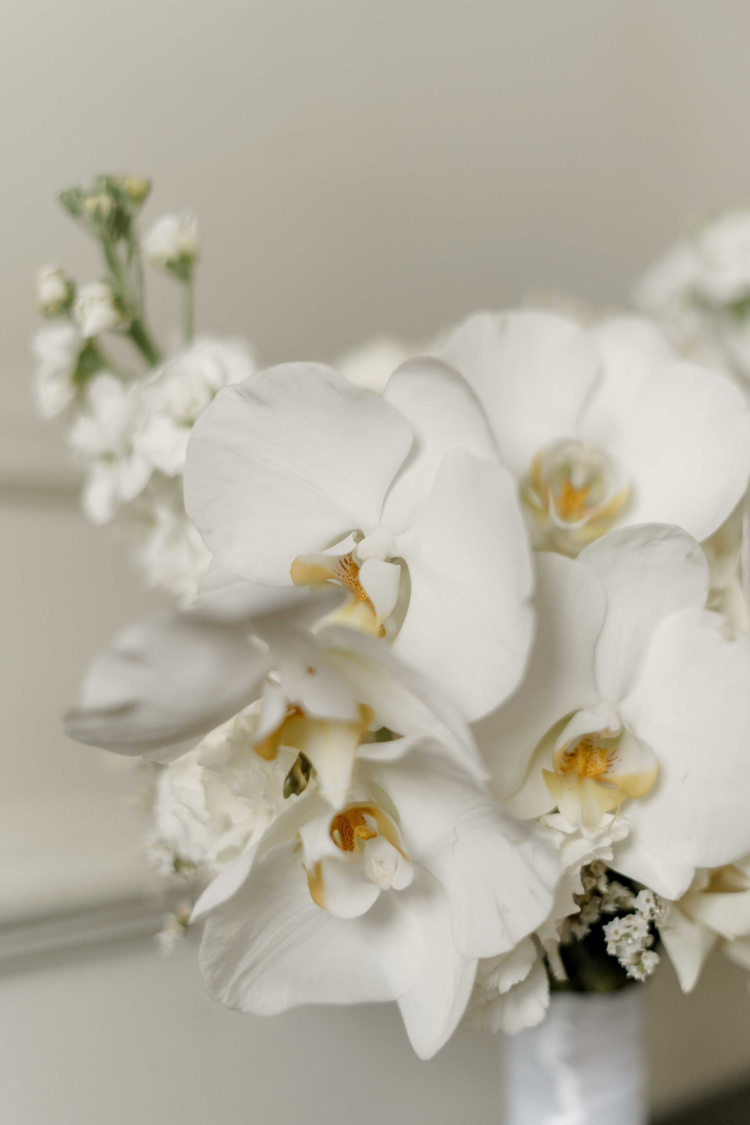 Катя и Влад. Свадебный фотограф Диана Полева