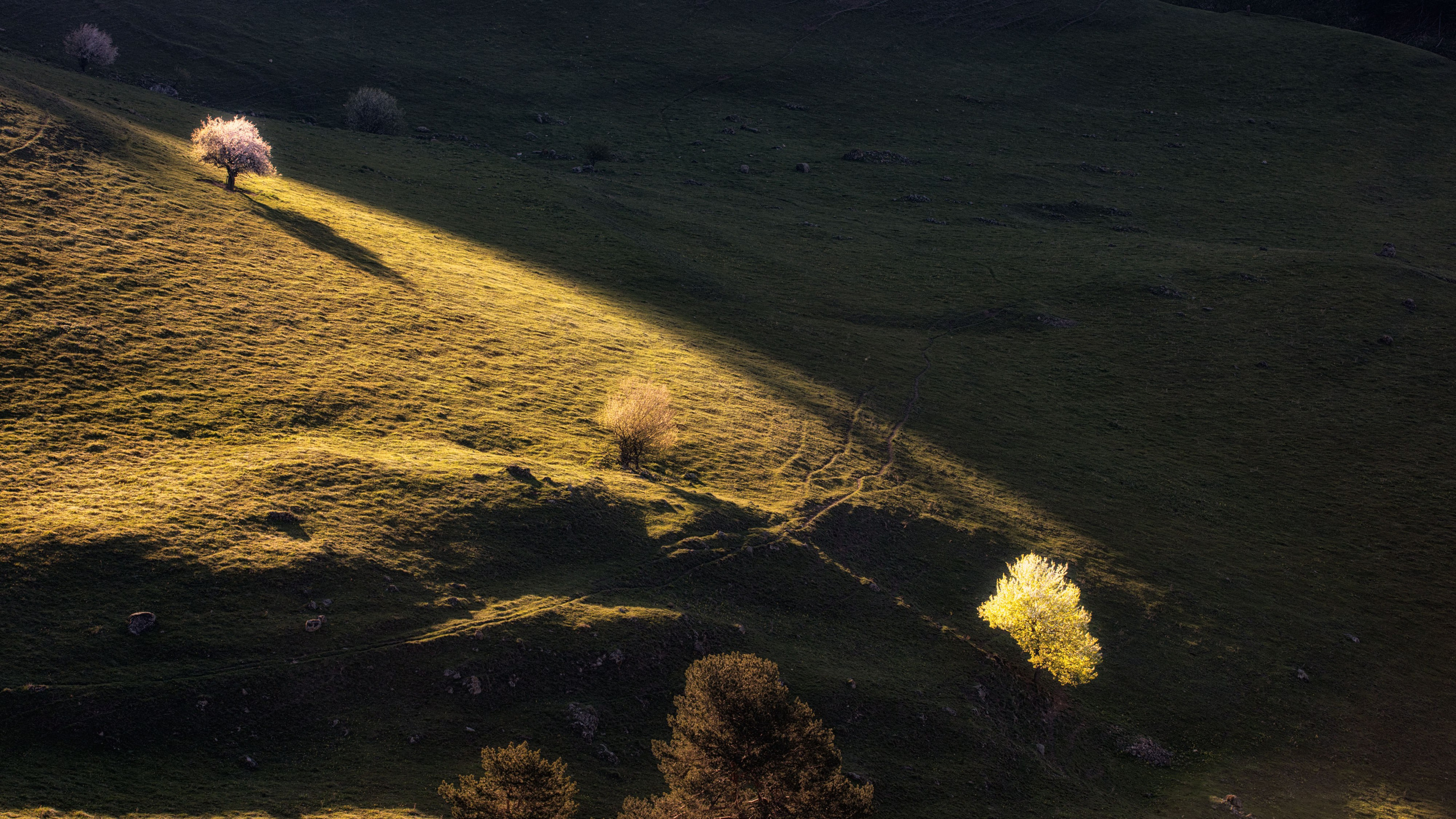 Ингушетия. Заповедник Эрзи. Танцы и балет, эротика, ню фотосессии в Москве. Valius Werwolf