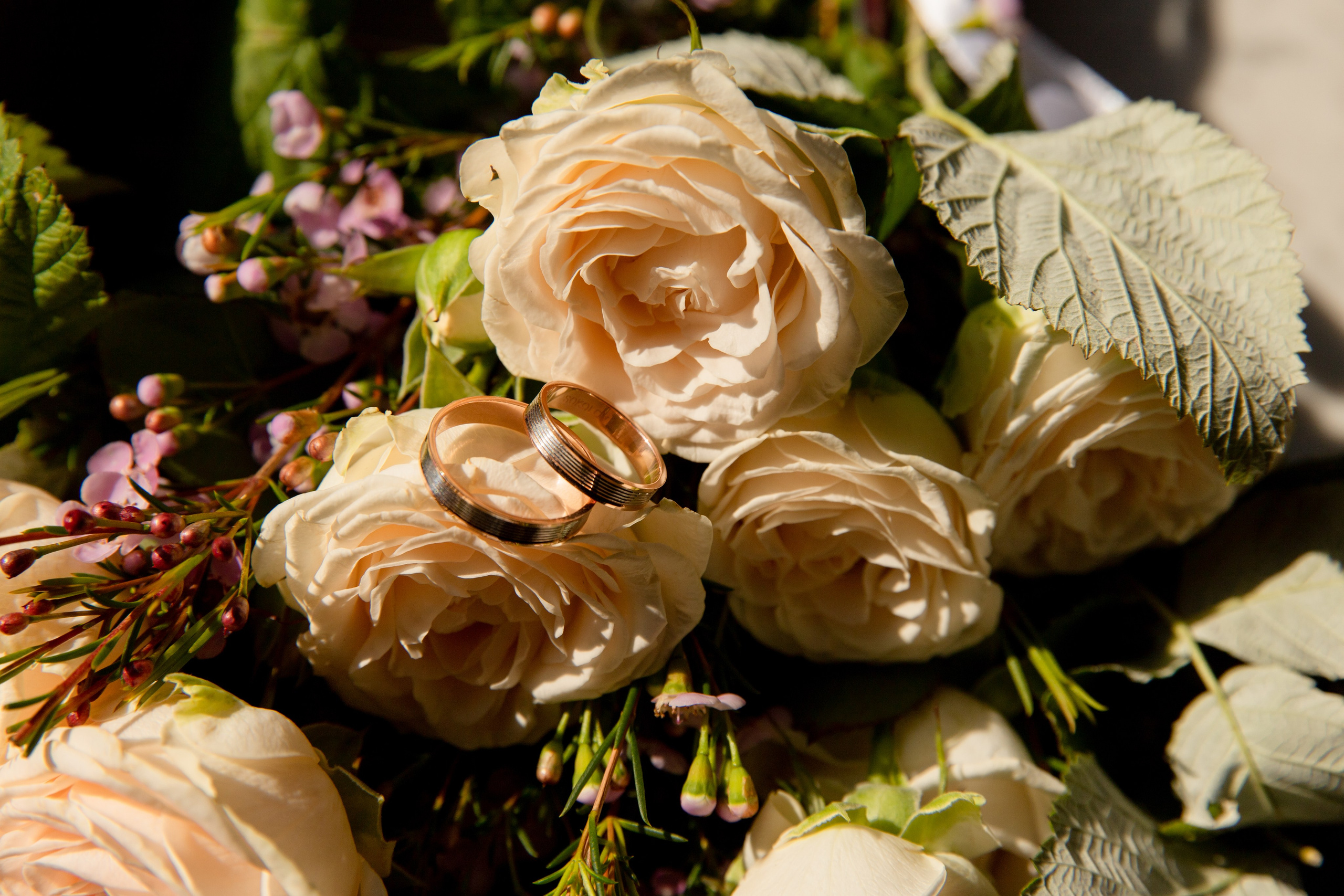 Павел и Катарина Гладышевы. Портретный фотограф в Москве Анна Бобрик