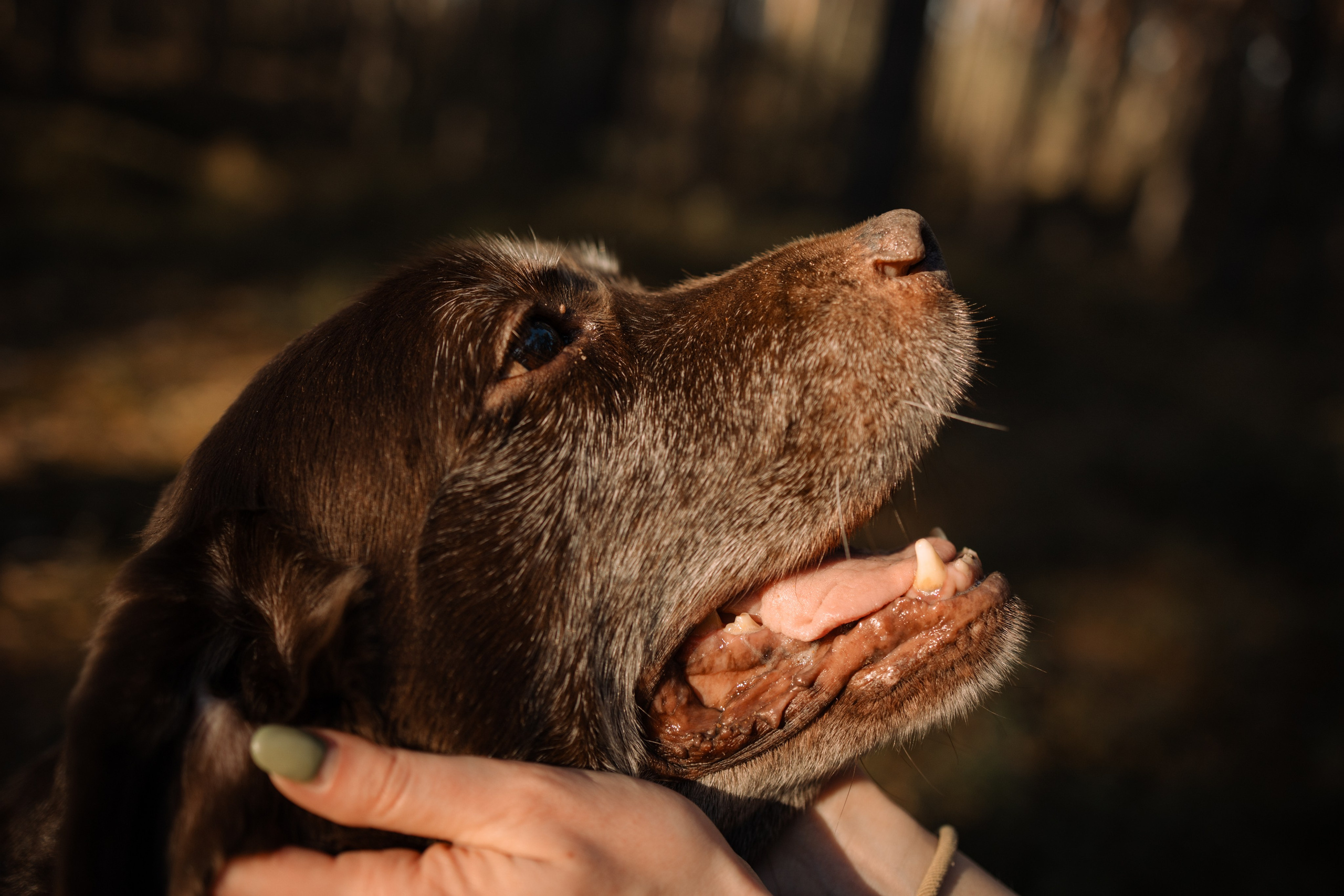 Оля и Питоня. Фотограф — Анималист | Санкт-Петербург