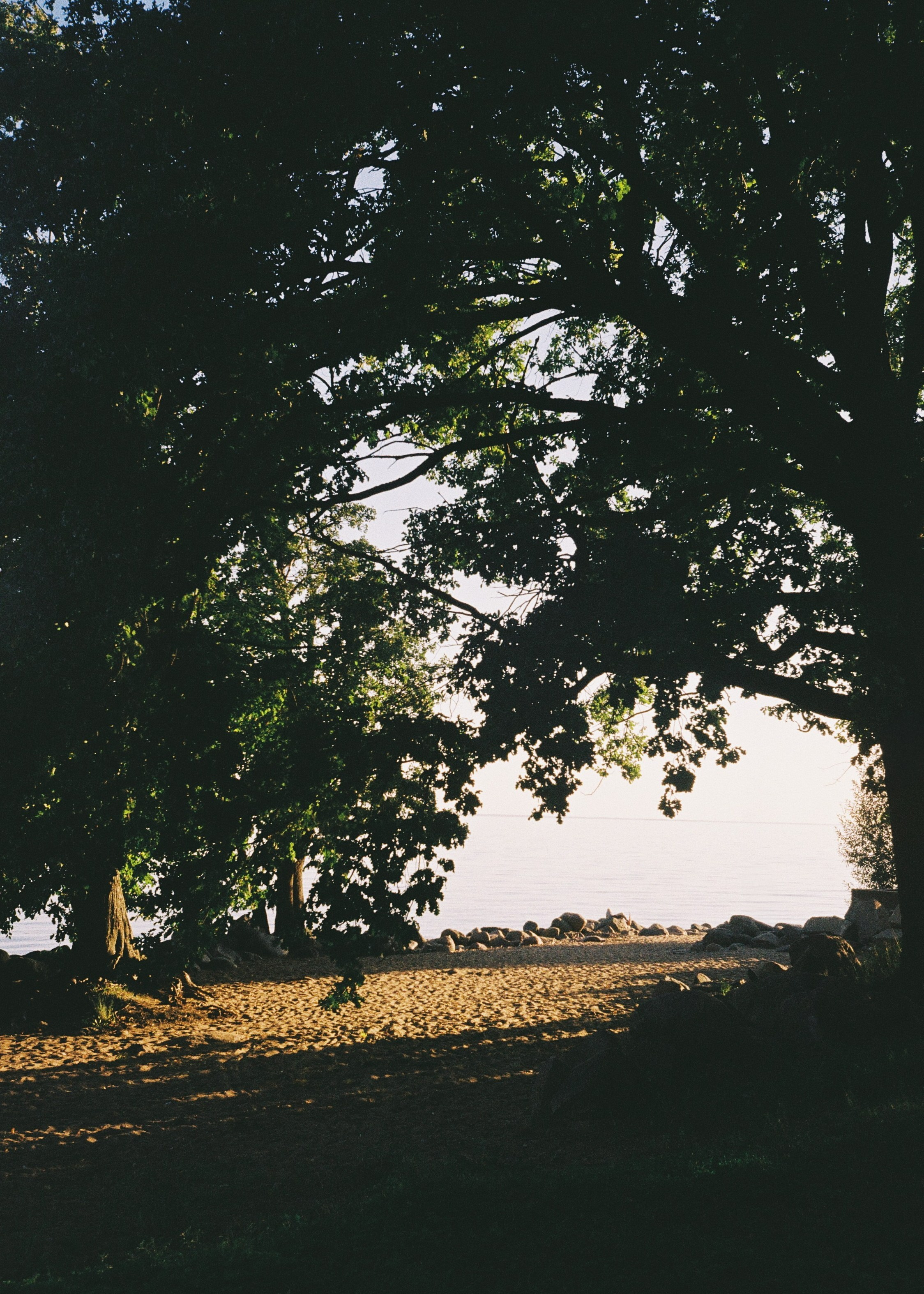 Сергей и Лиза. Светлана, свадебный фотограф Санкт-Петербург / СПб
