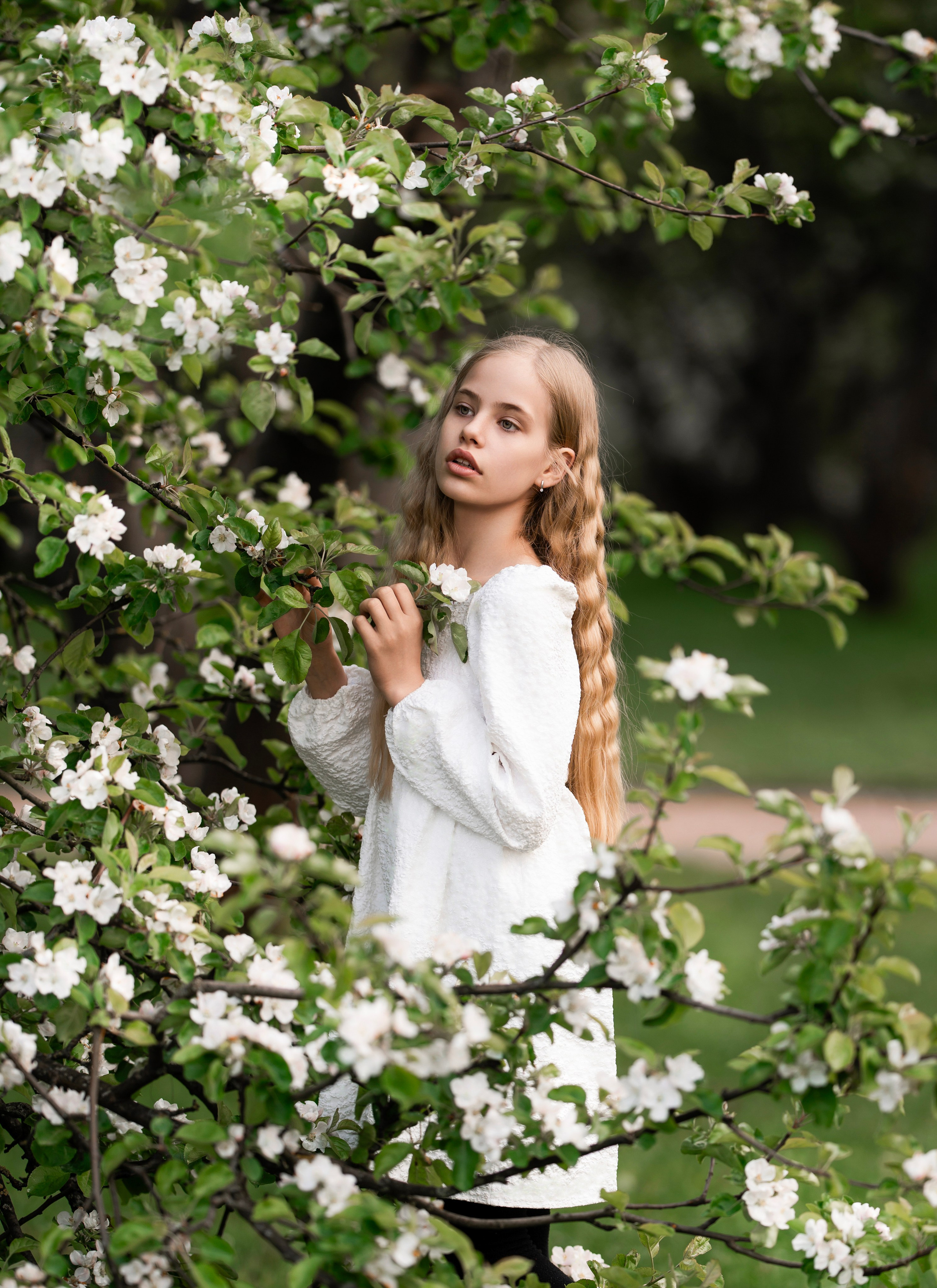 Цветение садов. Профессиональный фотограф в Москве Марина Григорьева